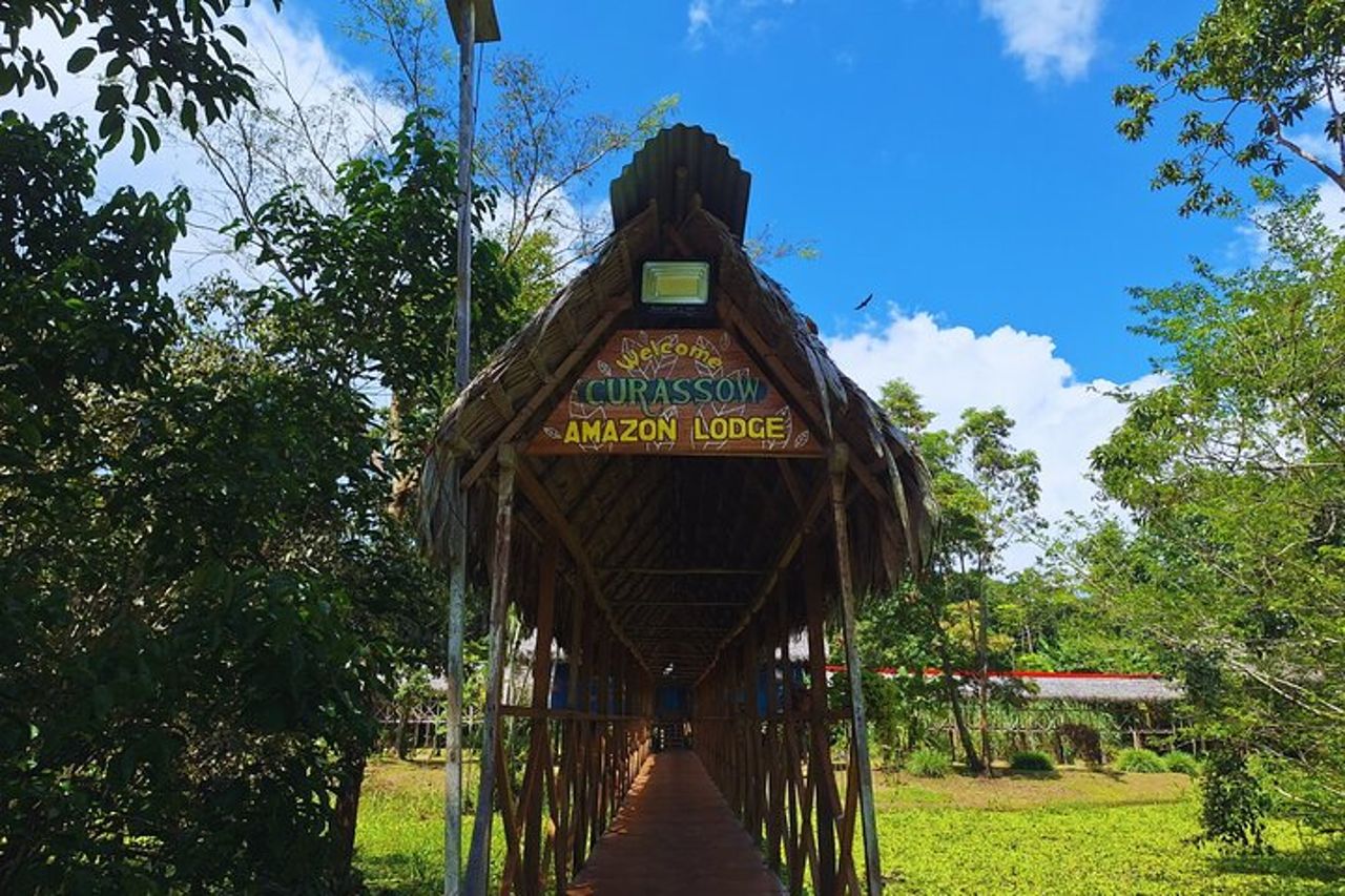 Avventura nella foresta pluviale primaria di 5 giorni a Curassow Amazon Lodge — 4