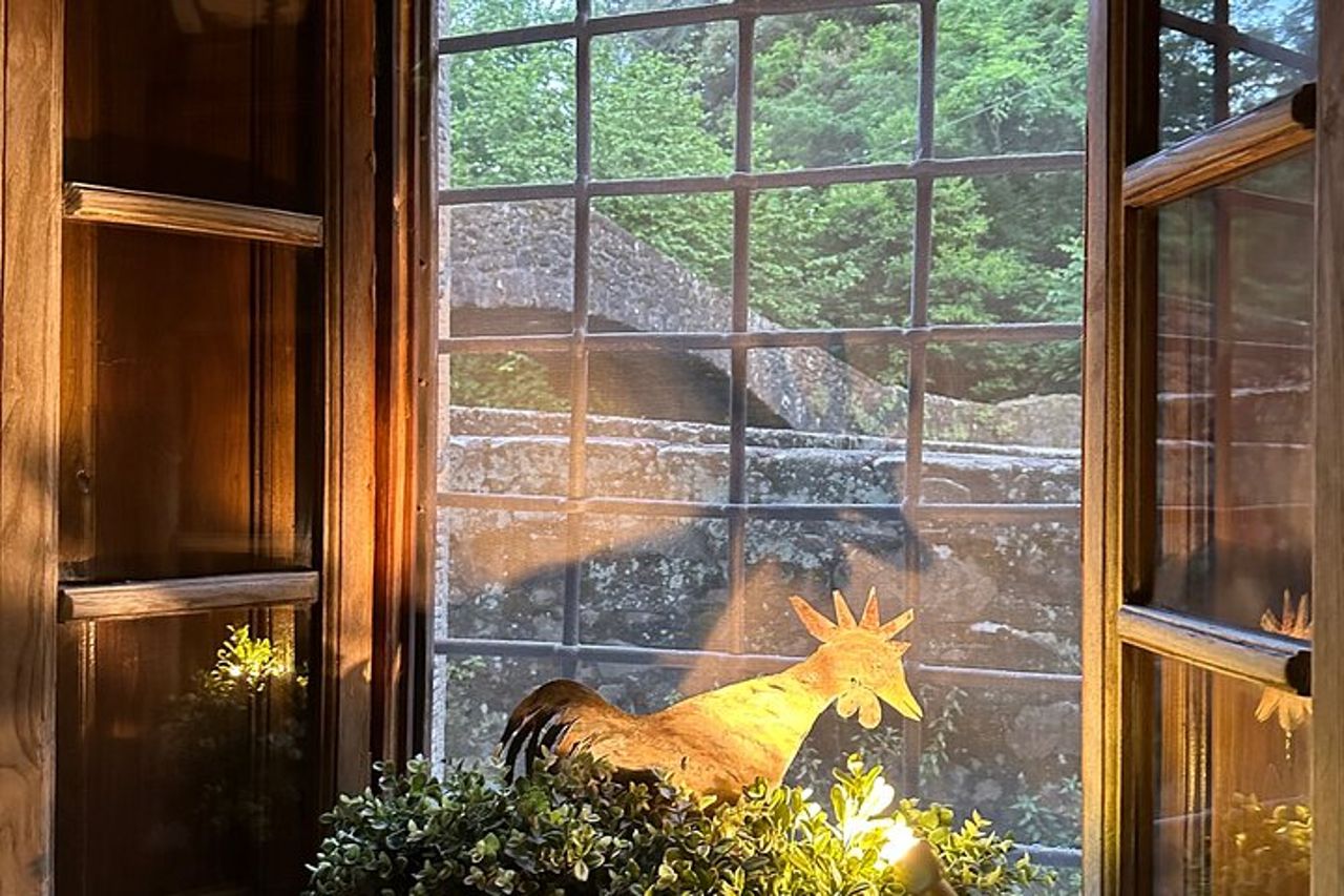 Lezioni di cucina extra vergine / Ubicazione del mulino in campagna — 5