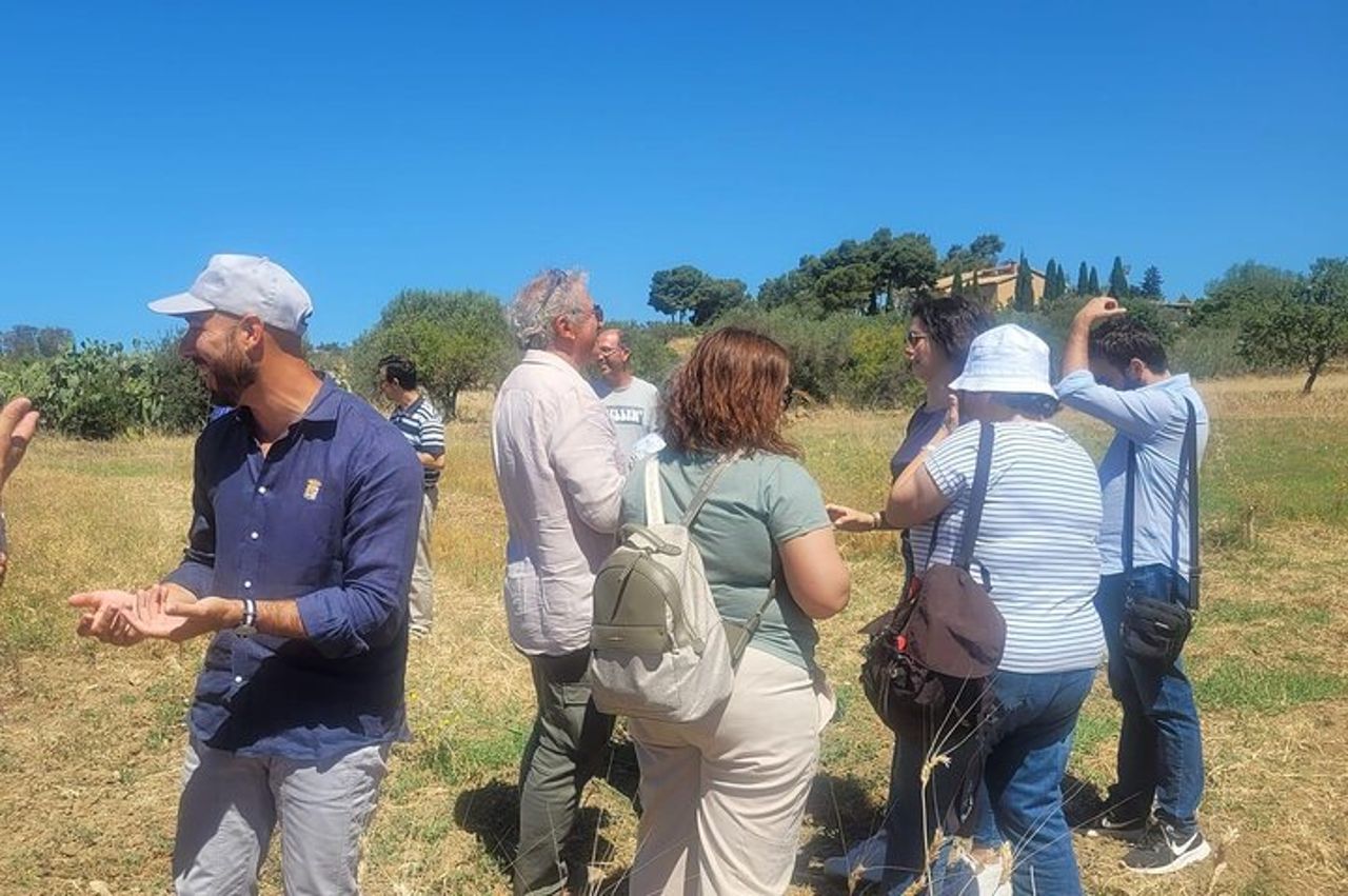 Salta la fila Valle dei Templi - Tour guidato privato di Agrigento — 5
