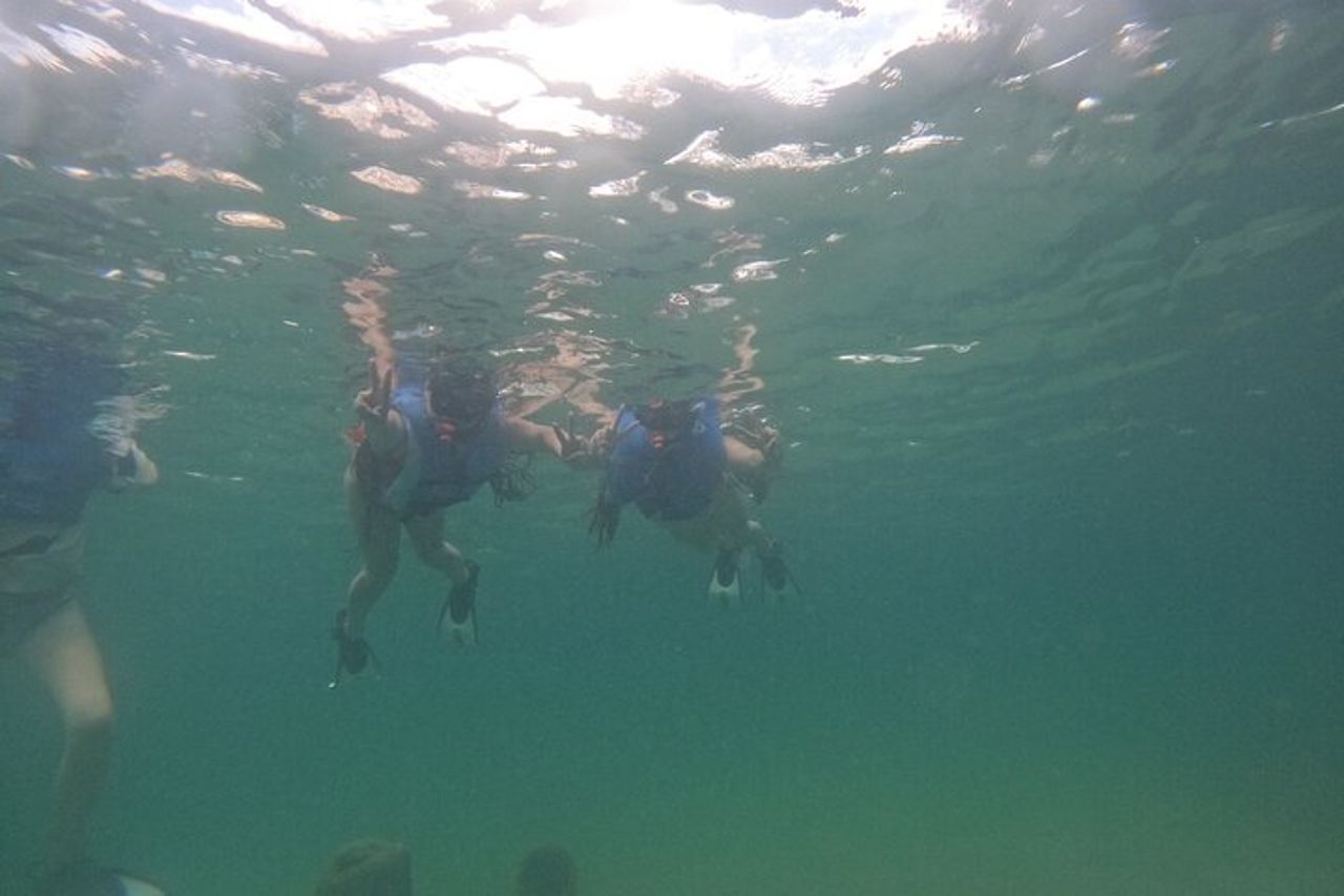 Avventura di snorkeling con avvistamento delle tartarughe di San Juan con video — 3