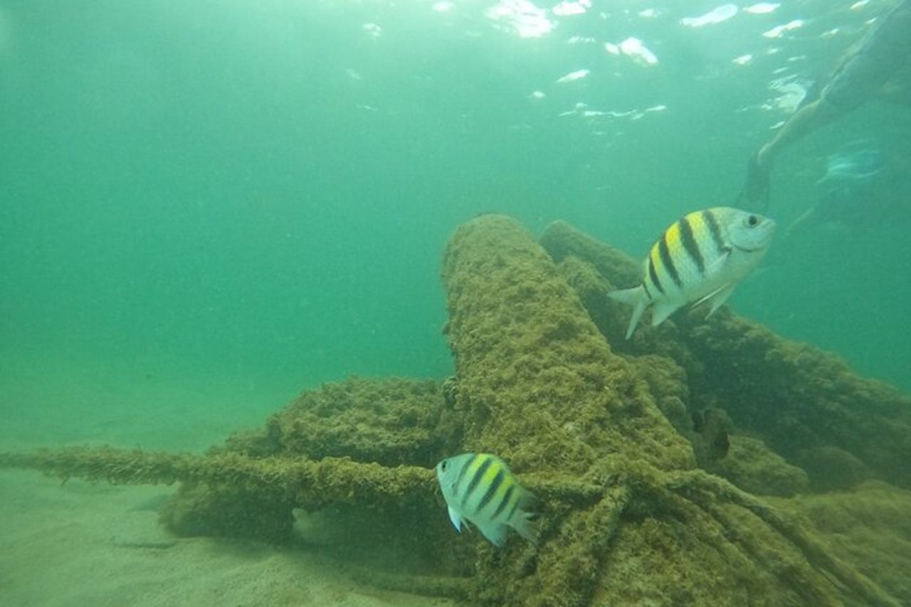 Avventura di snorkeling con avvistamento delle tartarughe di San Juan con video — 4
