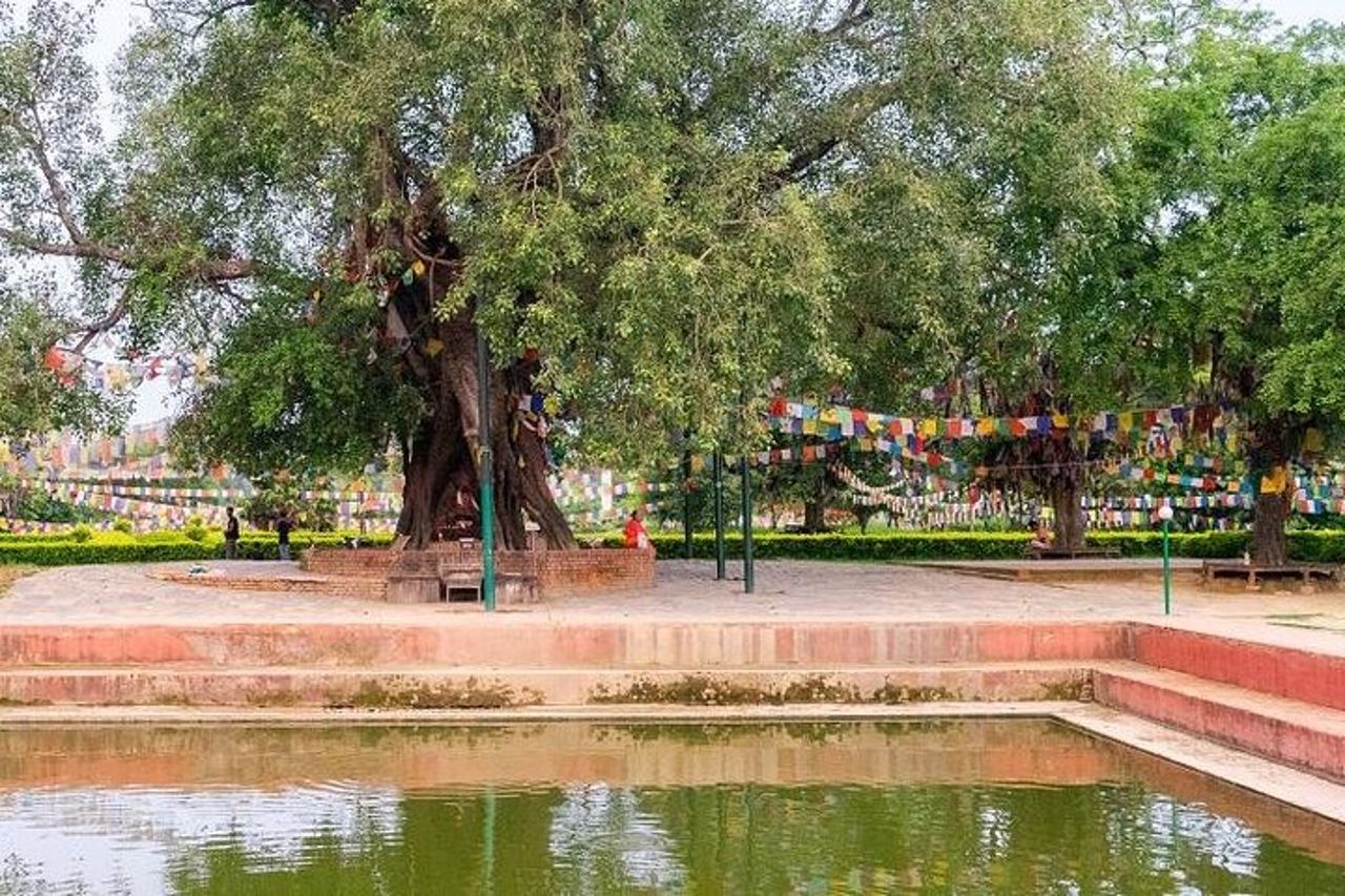 Tour di Lumbini di mezza giornata con trasferimento all'aeroporto — 5