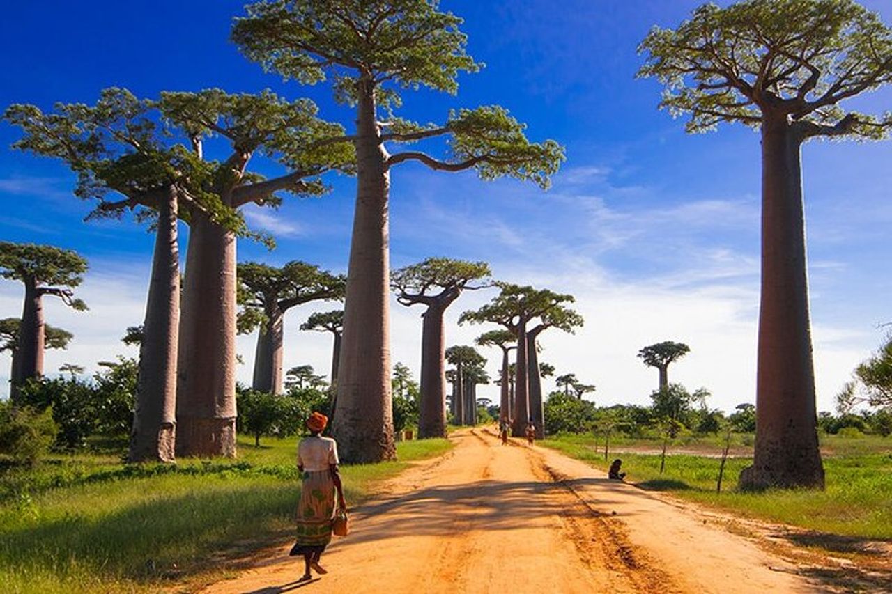 Tour fotografico privato di 15 giorni in Madagascar