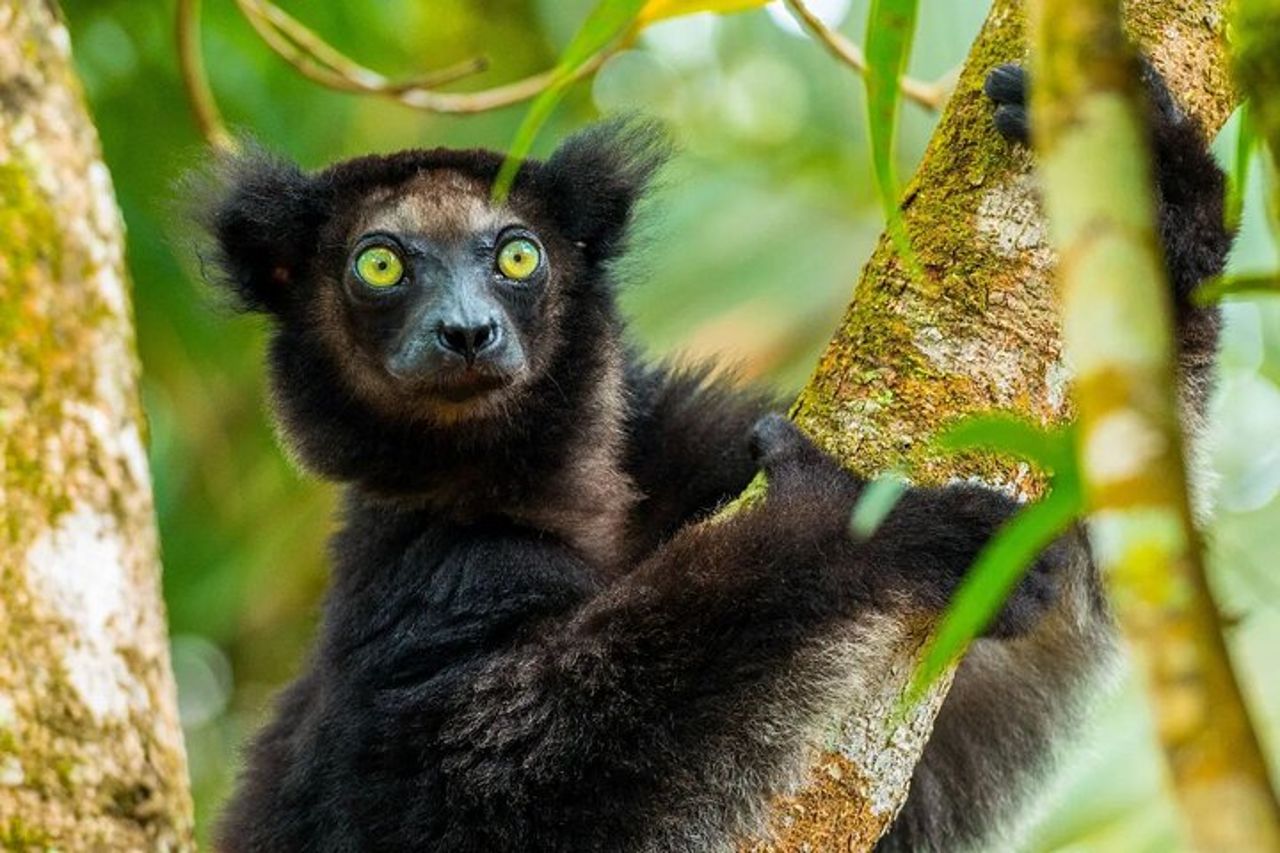 Tour fotografico privato di 15 giorni in Madagascar — 4