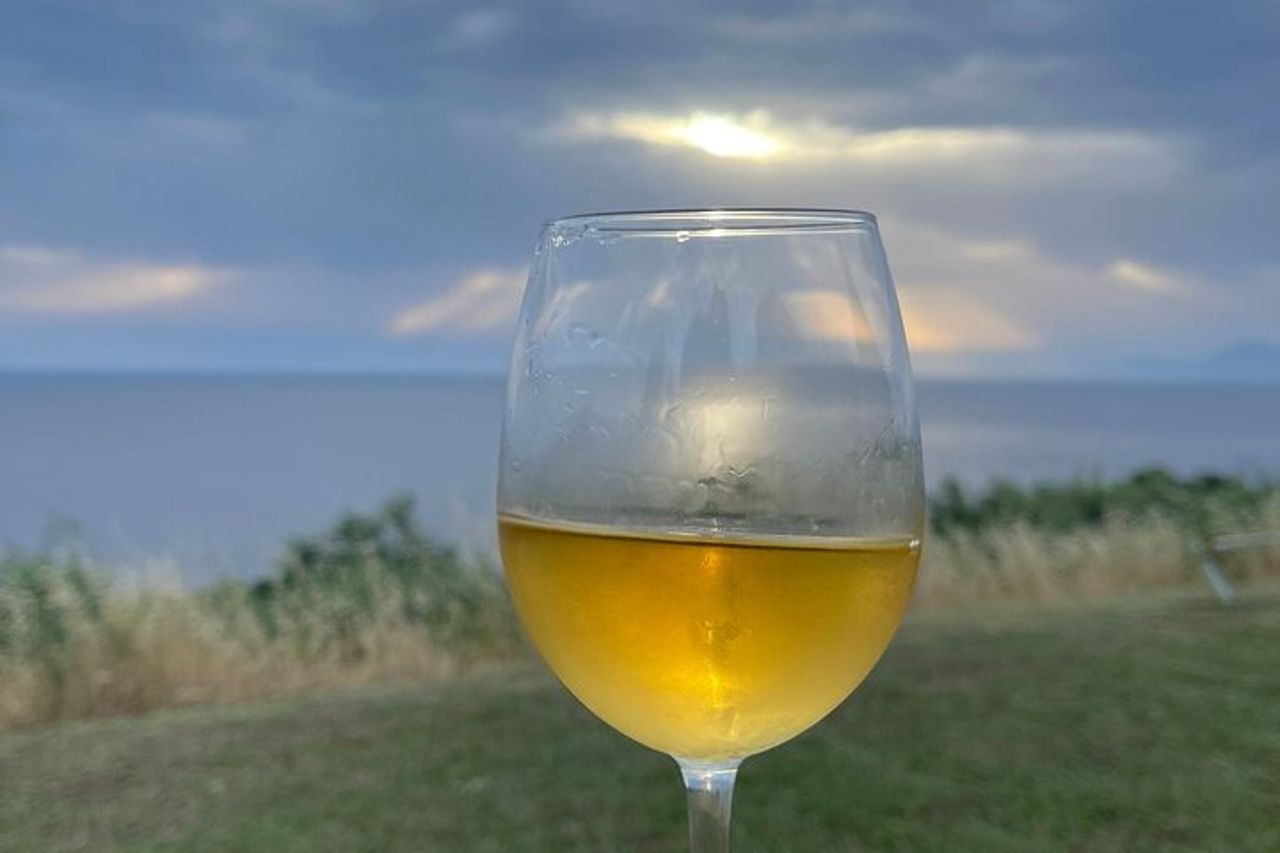 Cilento Wine: Tour & Degustazione Esperienza — 4