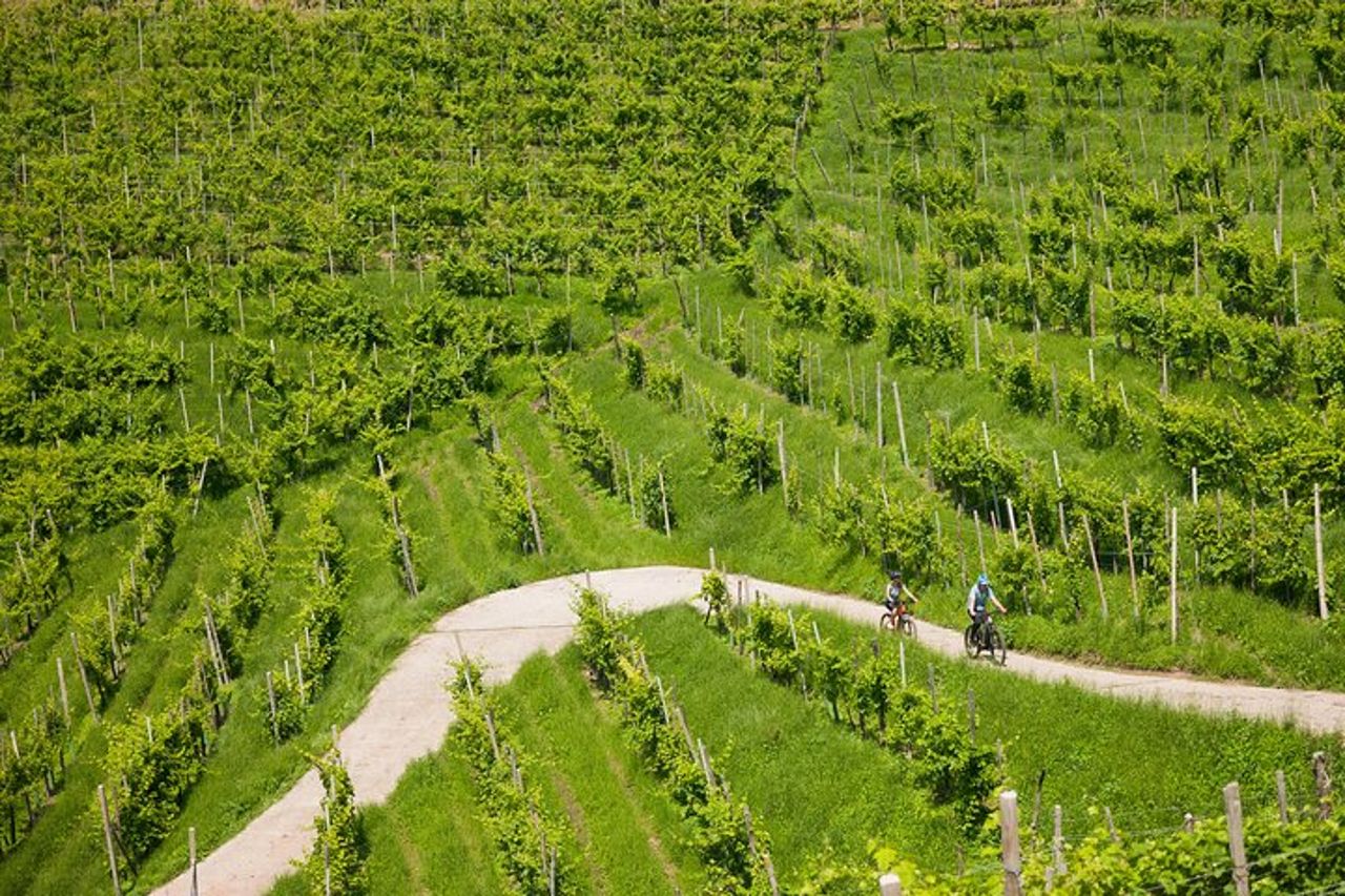 Valdobbiadene in e-bike tra vigneti - Colline del Prosecco UNESCO — 2