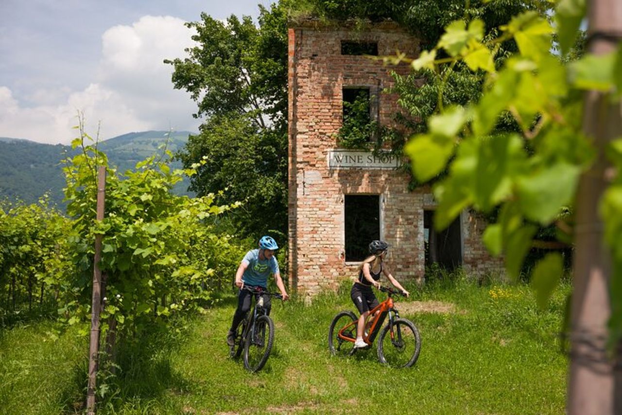 Valdobbiadene in e-bike tra vigneti - Colline del Prosecco UNESCO — 8