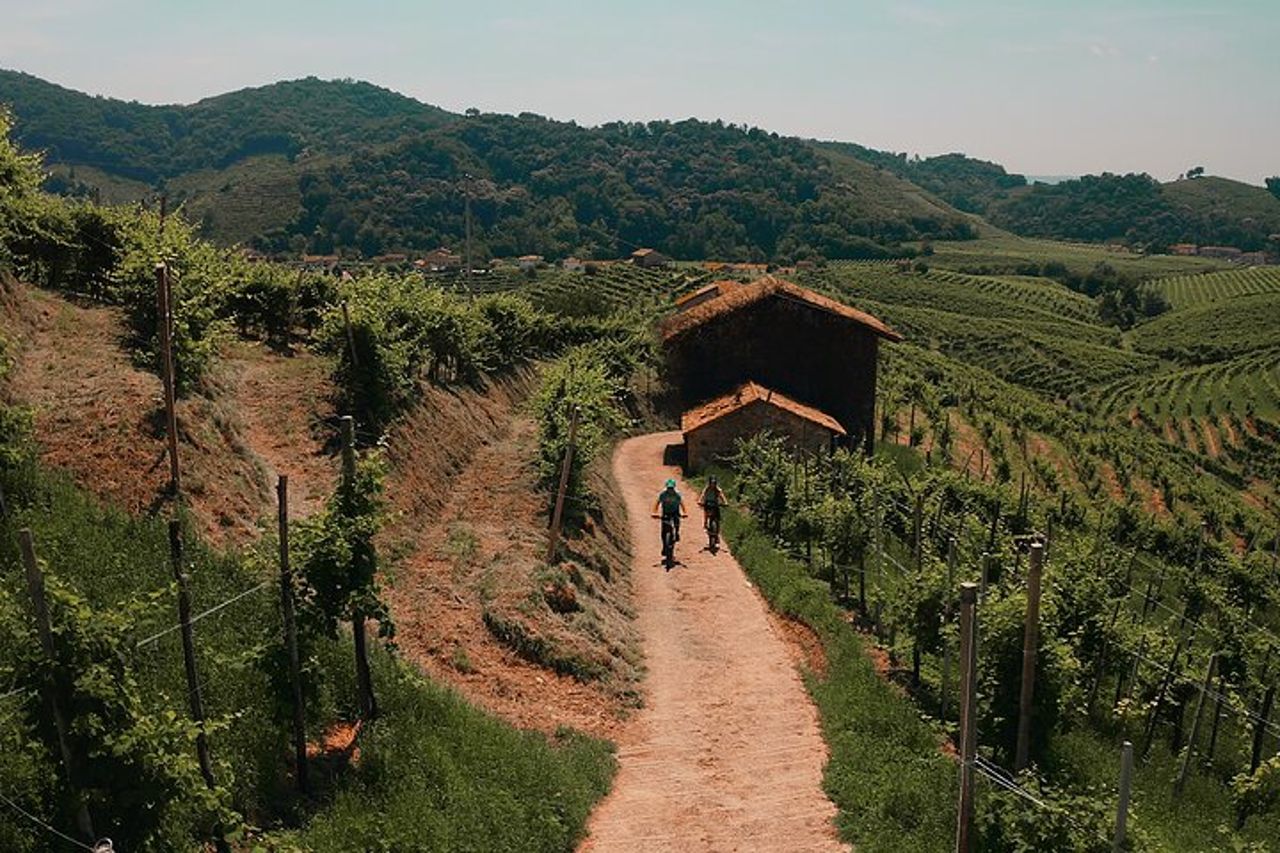 Valdobbiadene in e-bike tra vigneti - Colline del Prosecco UNESCO — 6
