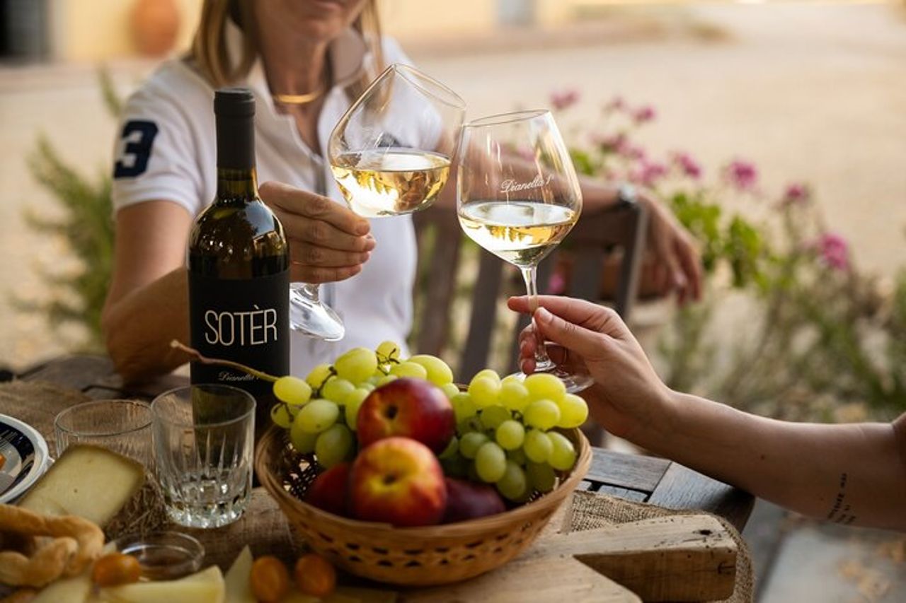 Wine experience tra le colline Toscane con degustazione a Vinci — 8