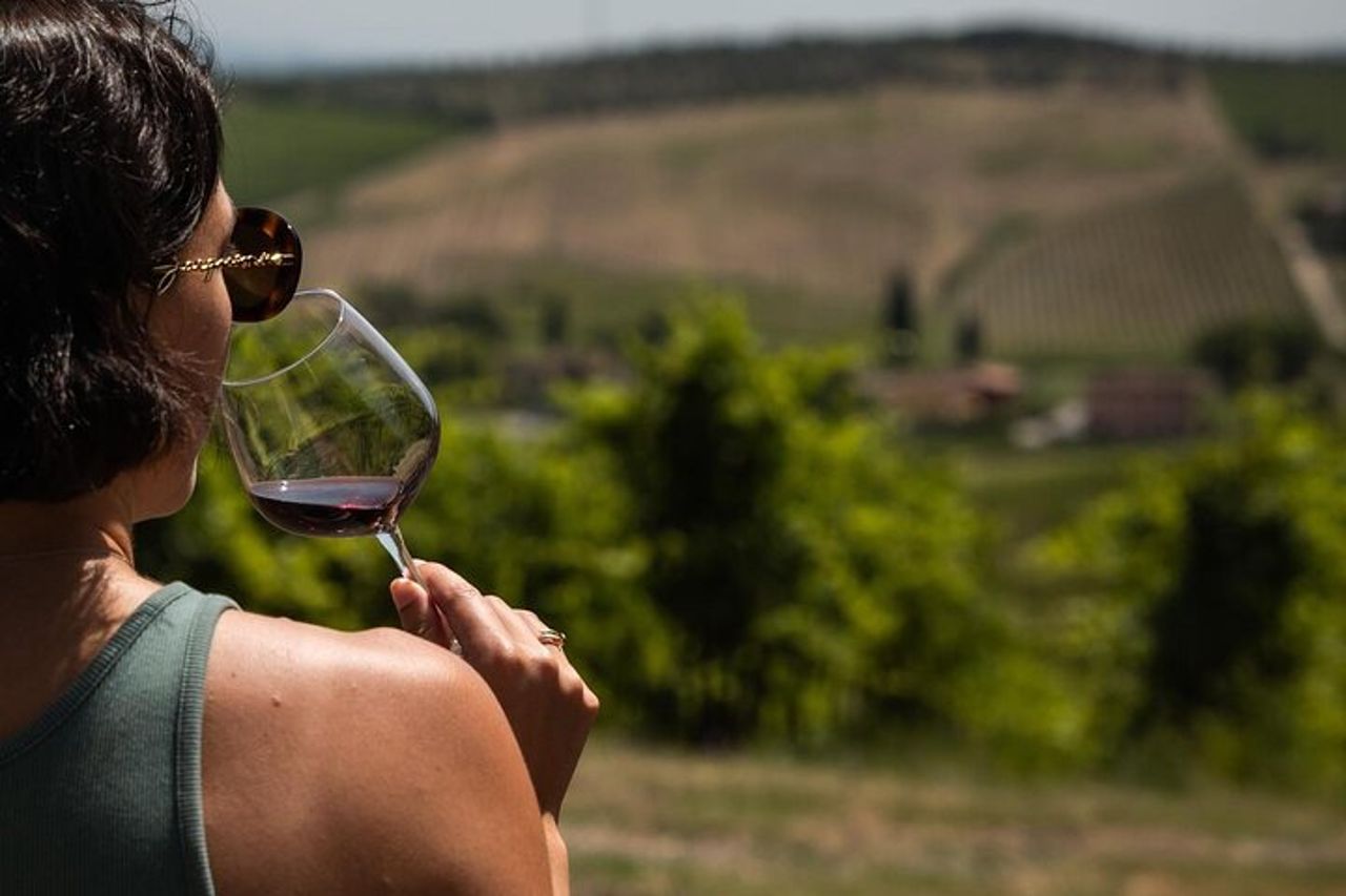 Wine experience tra le colline Toscane con degustazione a Vinci