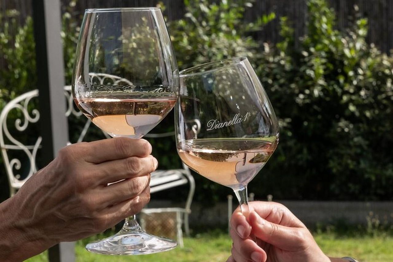 Wine experience tra le colline Toscane con degustazione a Vinci — 4