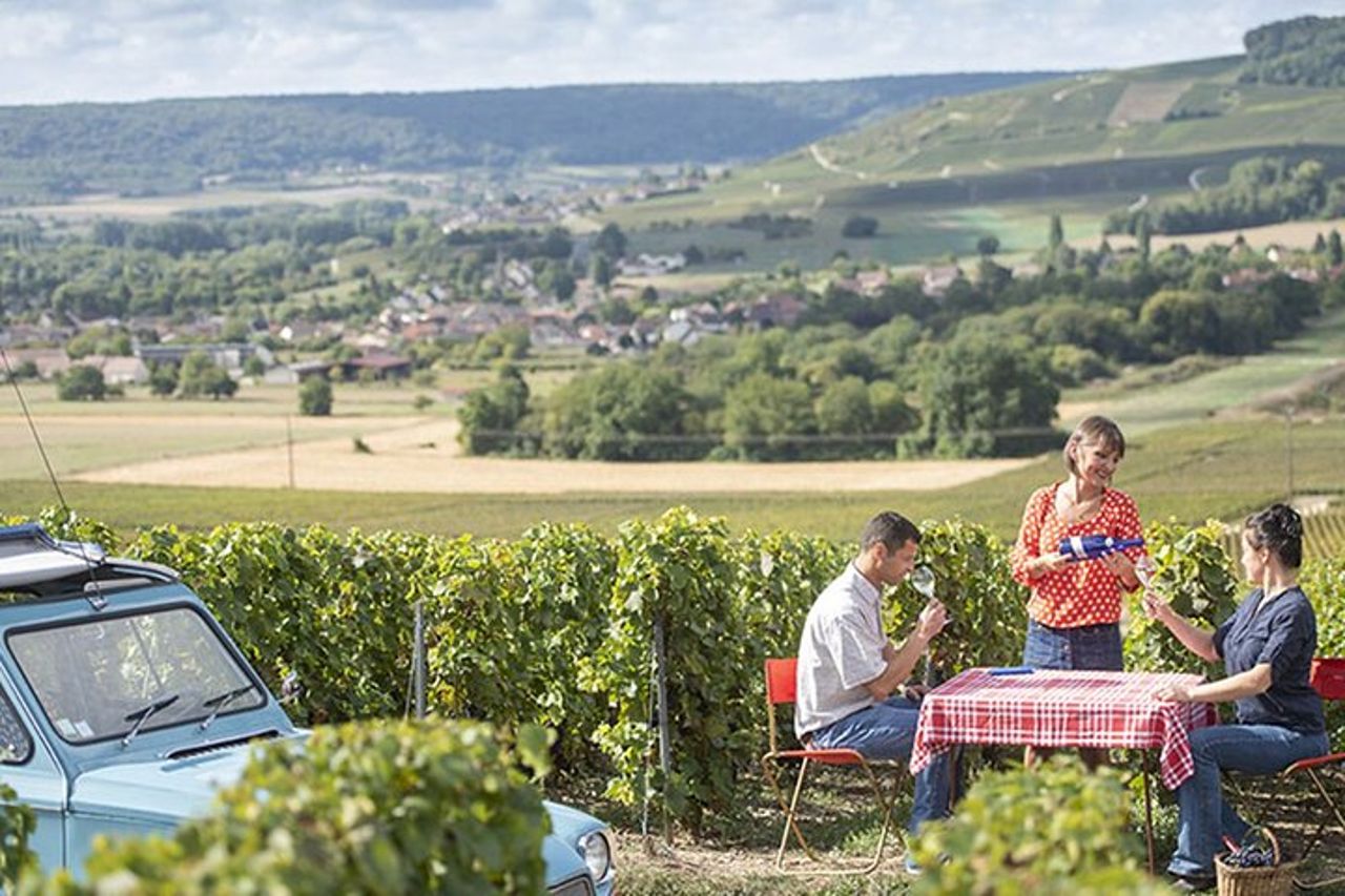 Degustazione di champagne e tour dei vigneti nella Valle della Marna in Francia — 2