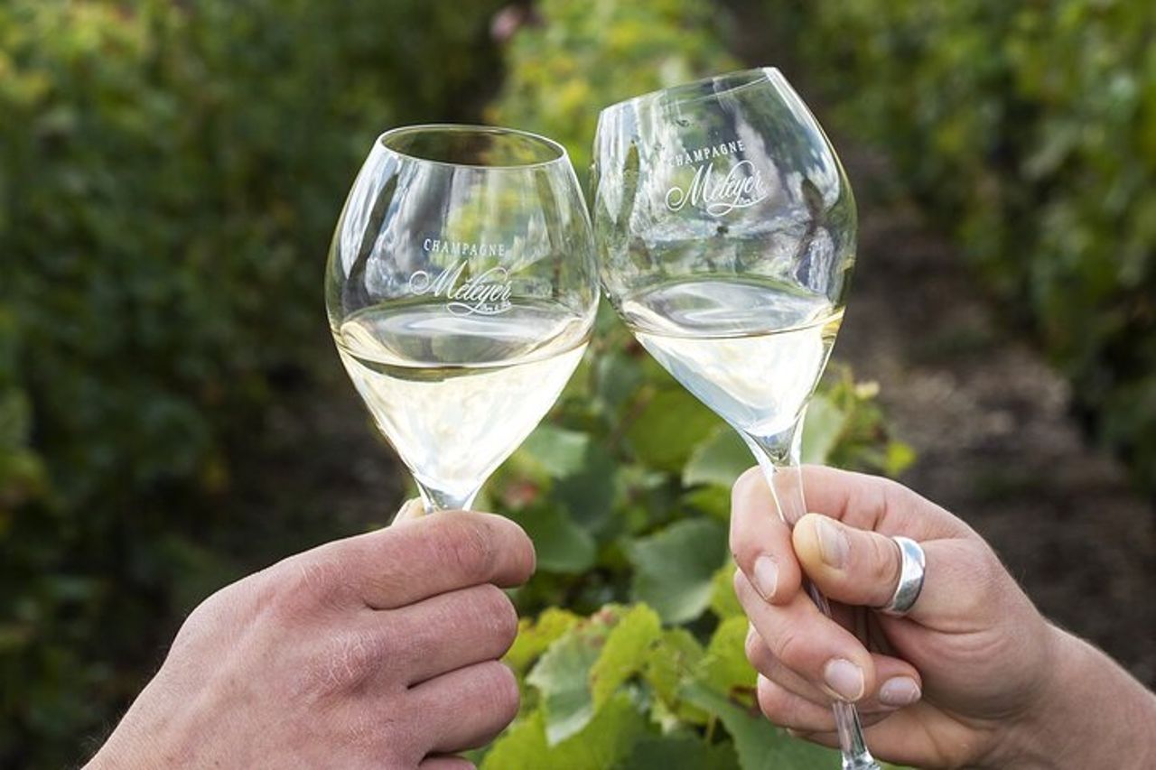 Degustazione di champagne e tour dei vigneti nella Valle della Marna in Francia — 4