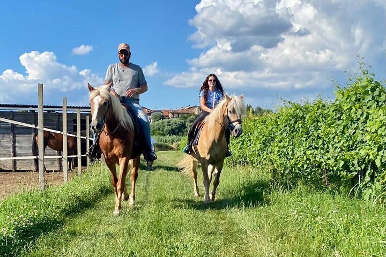 Passeggiate a cavallo con Pic Nic nella campagna di Lazise — 2