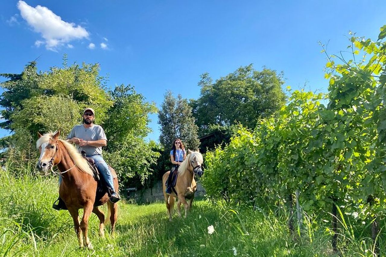 Passeggiate a cavallo con Pic Nic nella campagna di Lazise — 5