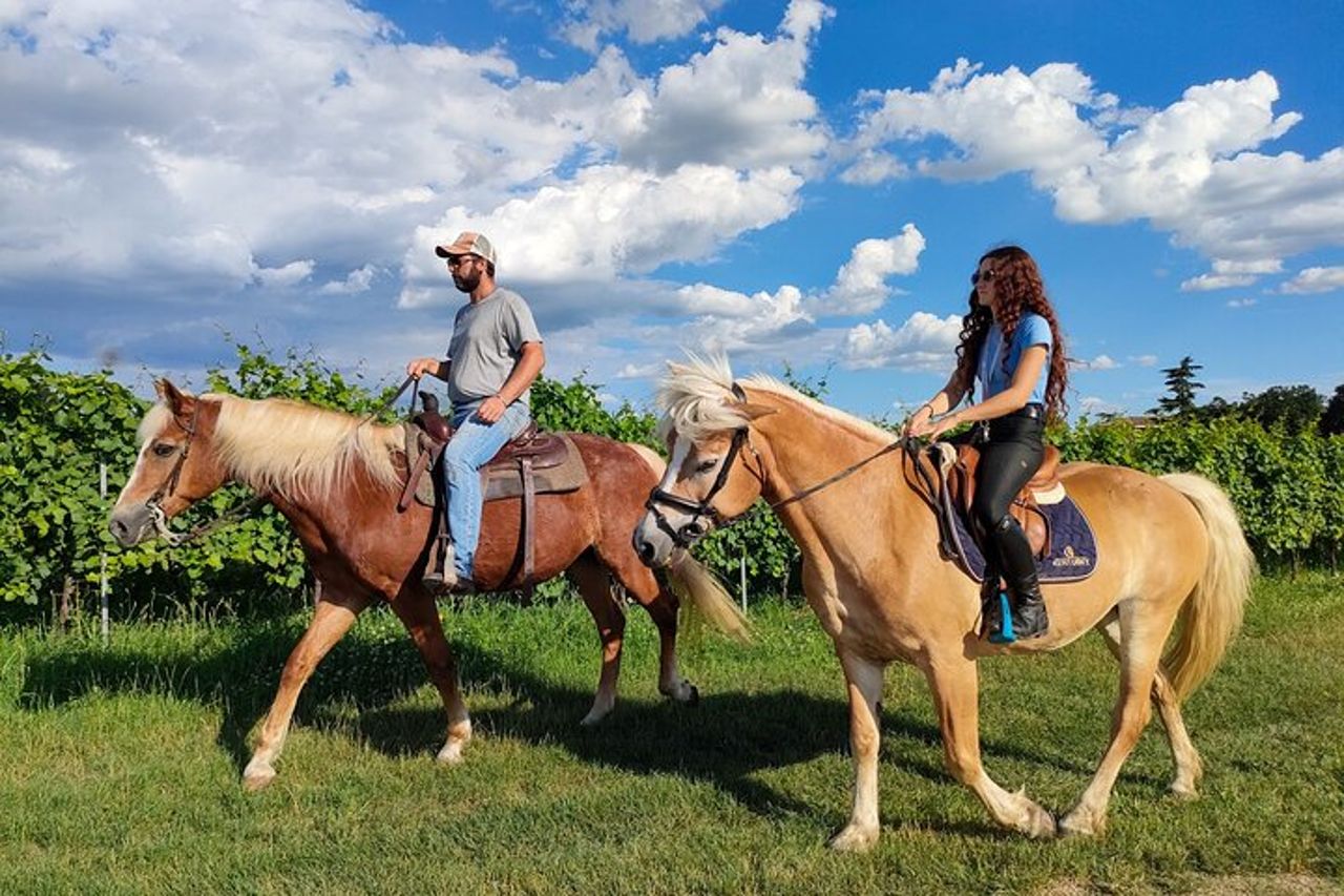 Passeggiate a cavallo con Pic Nic nella campagna di Lazise — 6