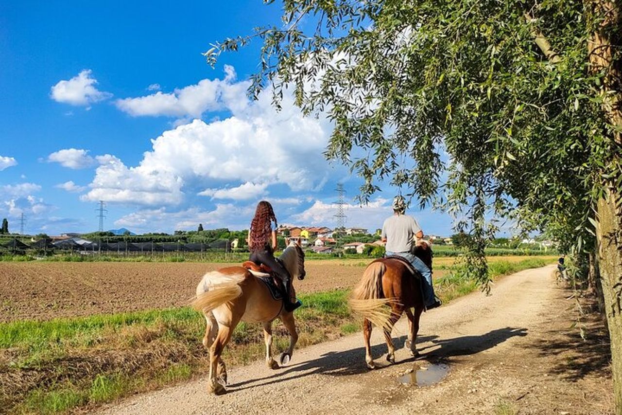 Passeggiate a cavallo con Pic Nic nella campagna di Lazise