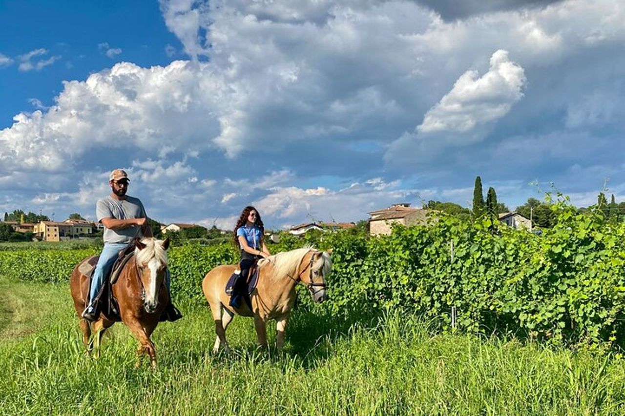 Passeggiate a cavallo con Pic Nic nella campagna di Lazise — 7