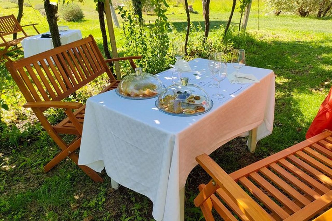 Passeggiate a cavallo con Pic Nic nella campagna di Lazise — 8