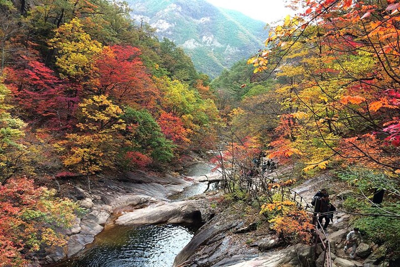 Gita di un giorno al Monte Seorak+Isola di Nami+Giardino della calma mattutina da Seul — 8