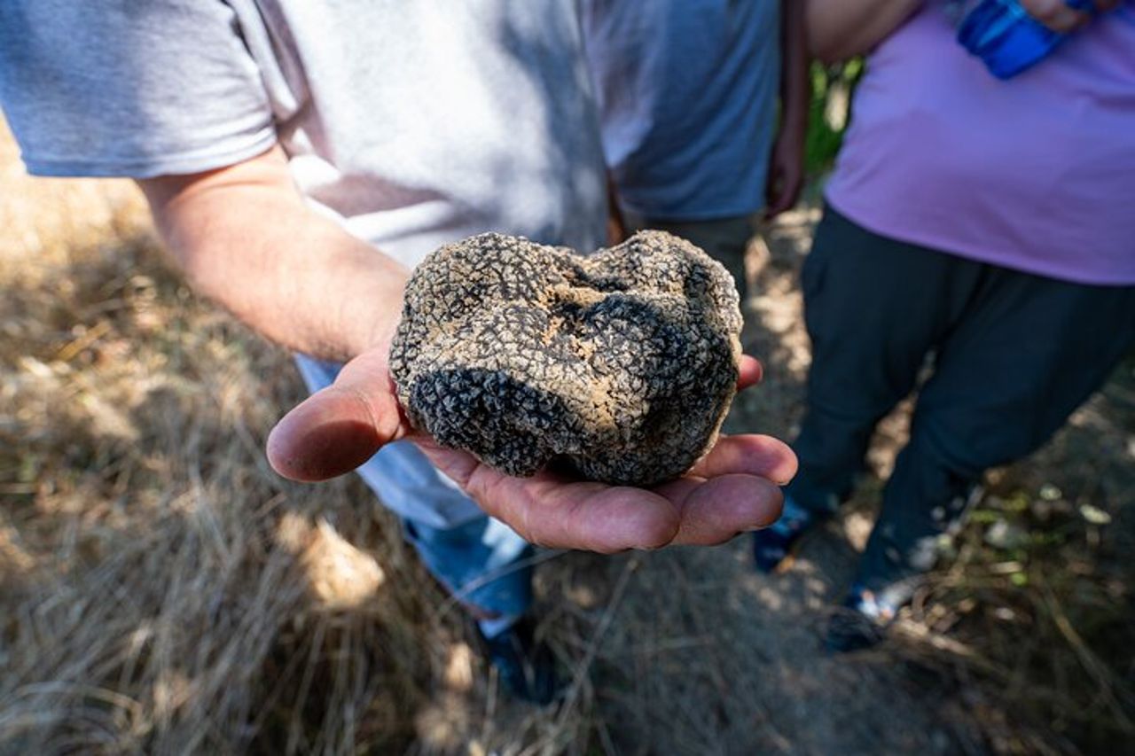 Esperienza di Caccia al Tartufo in Assisi — 7
