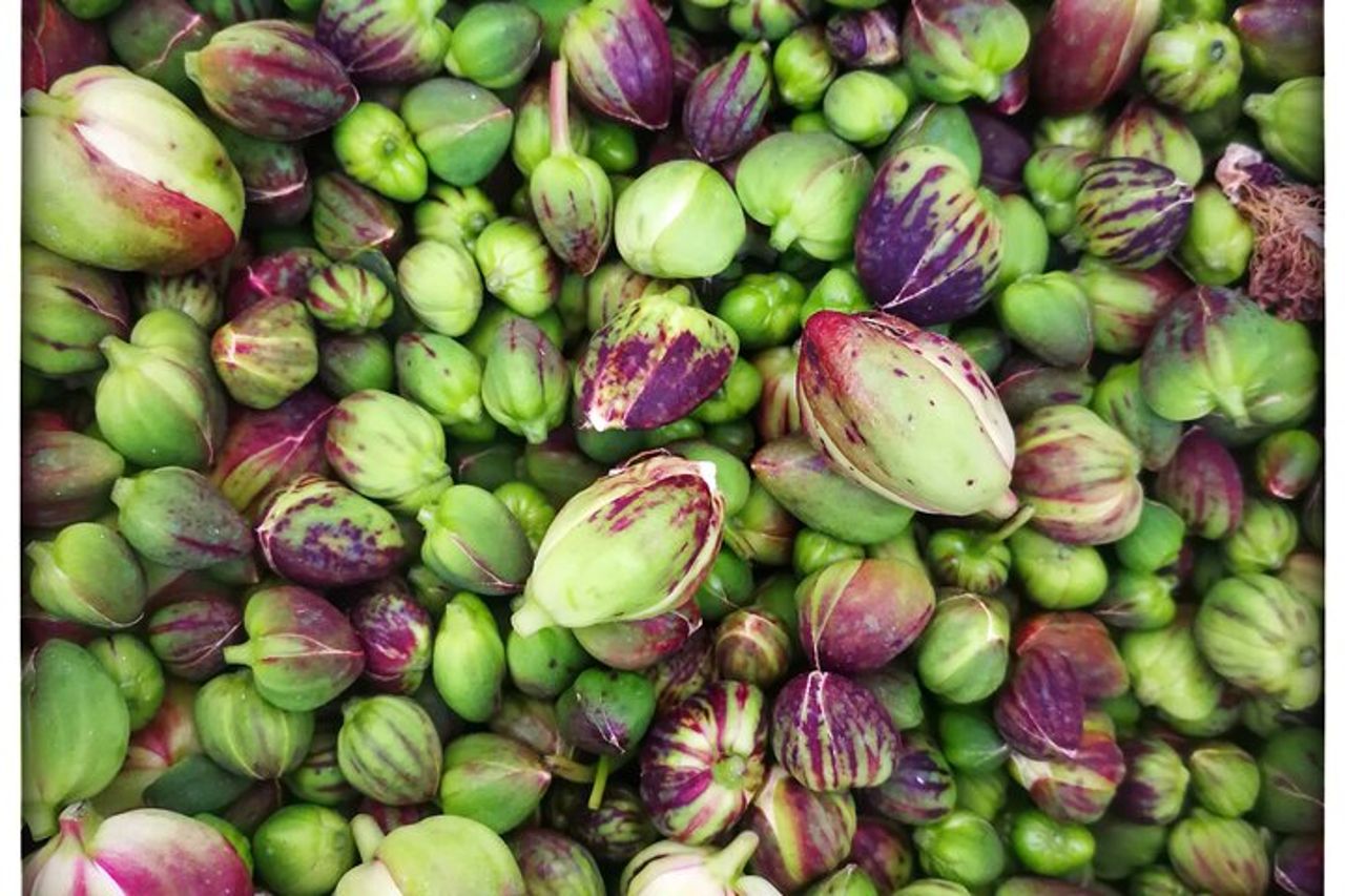 Cappero di Salina: Un'Esperienza di Degustazione Unica — 6