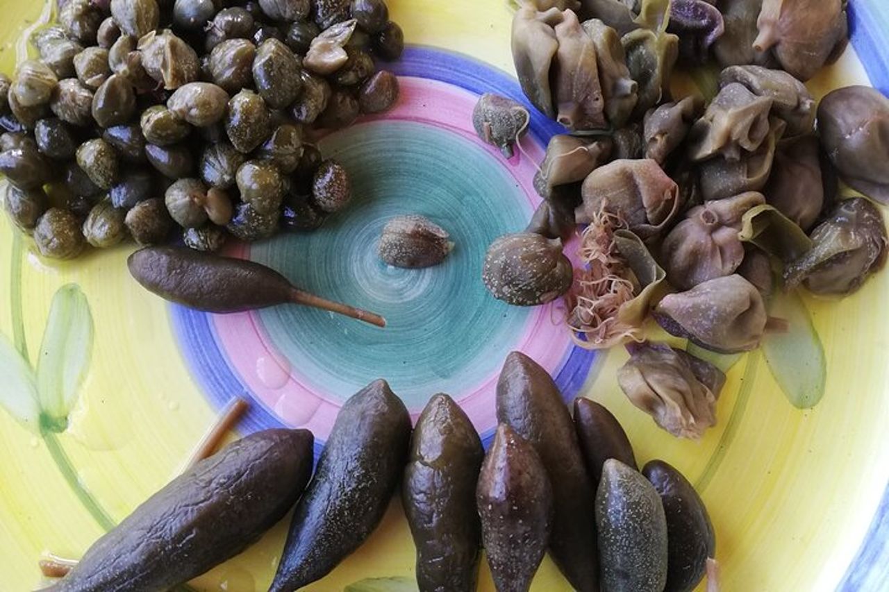 Cappero di Salina: Un'Esperienza di Degustazione Unica — 9
