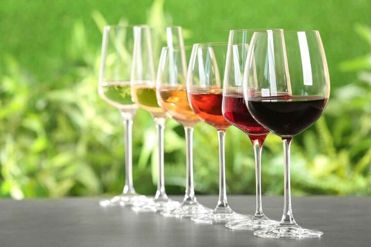 Delizie della Tuscia: escursione a Pitigliano ed esperienza di degustazione di vini — 6