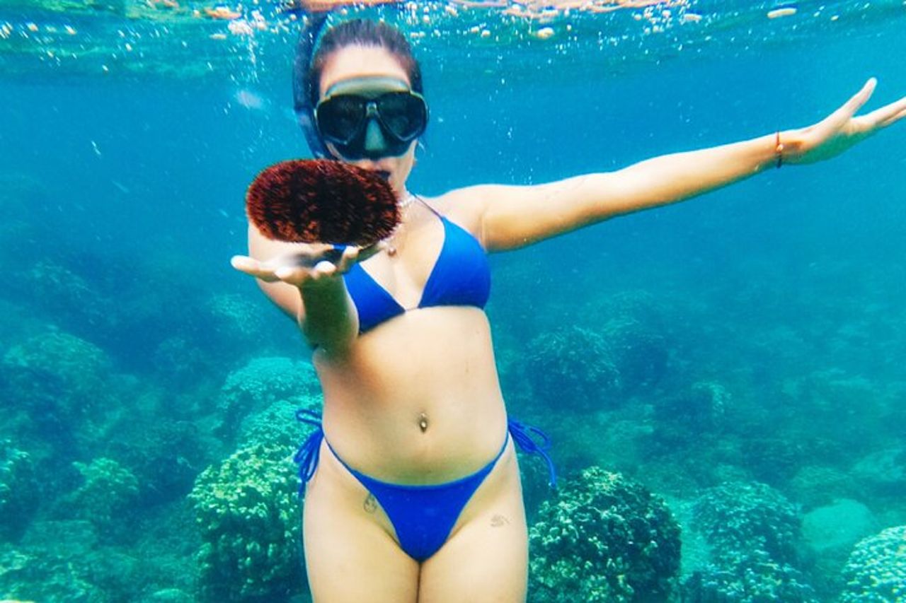 Isola di Pasqua Snorkeling sulle barriere coralline — 6