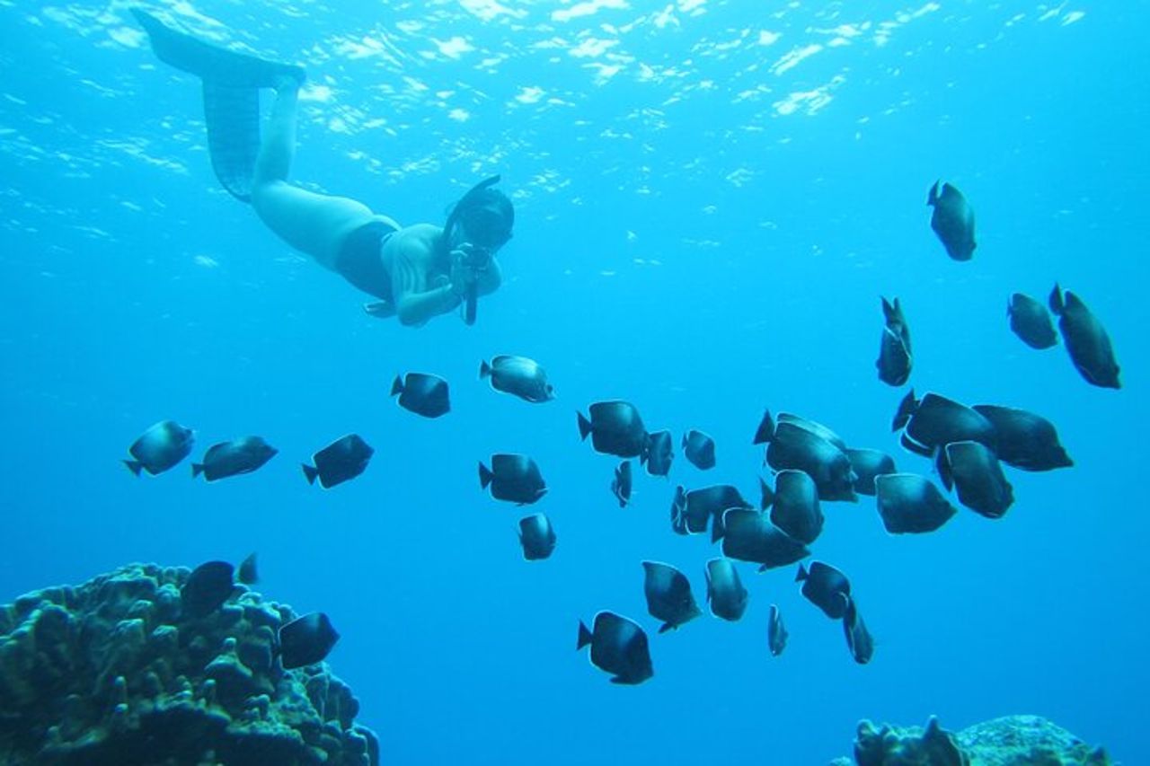 Isola di Pasqua Snorkeling sulle barriere coralline