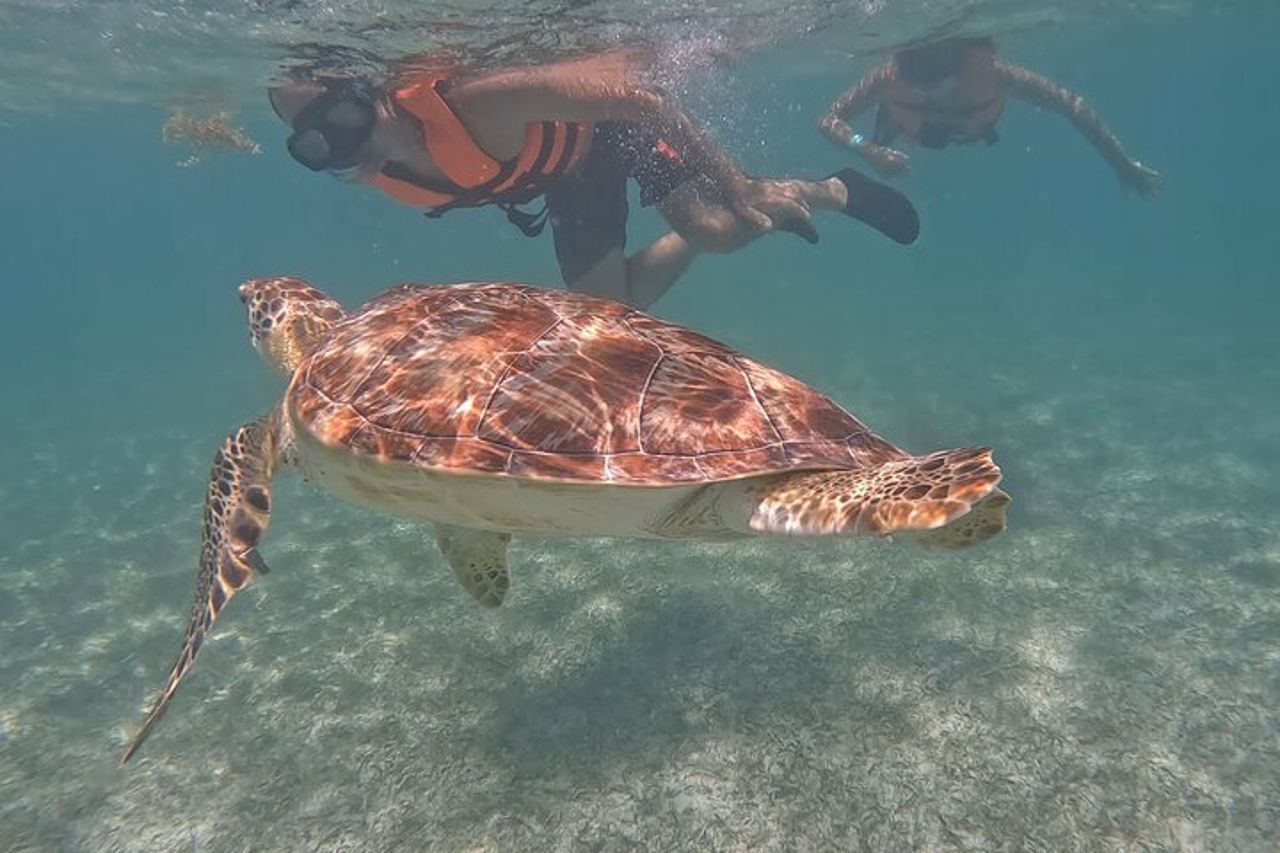 Escursione privata di snorkeling ad Akumal con foto. — 2
