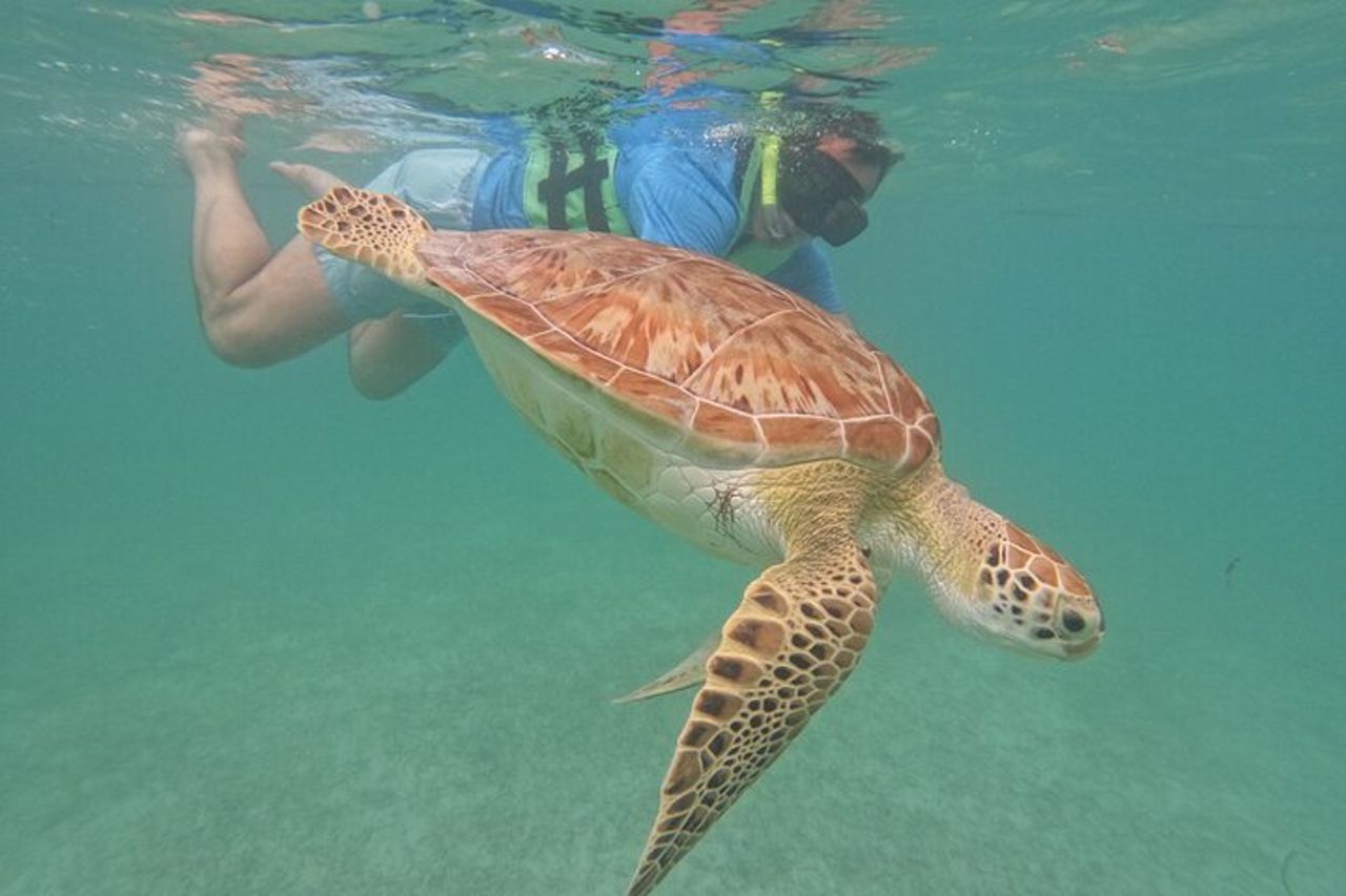 Escursione privata di snorkeling ad Akumal con foto. — 3