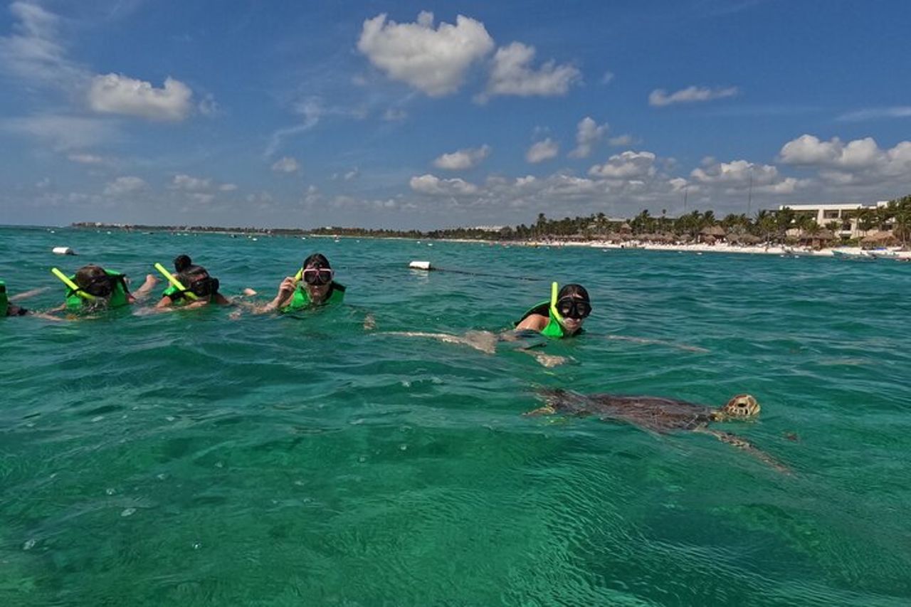 Escursione privata di snorkeling ad Akumal con foto. — 5