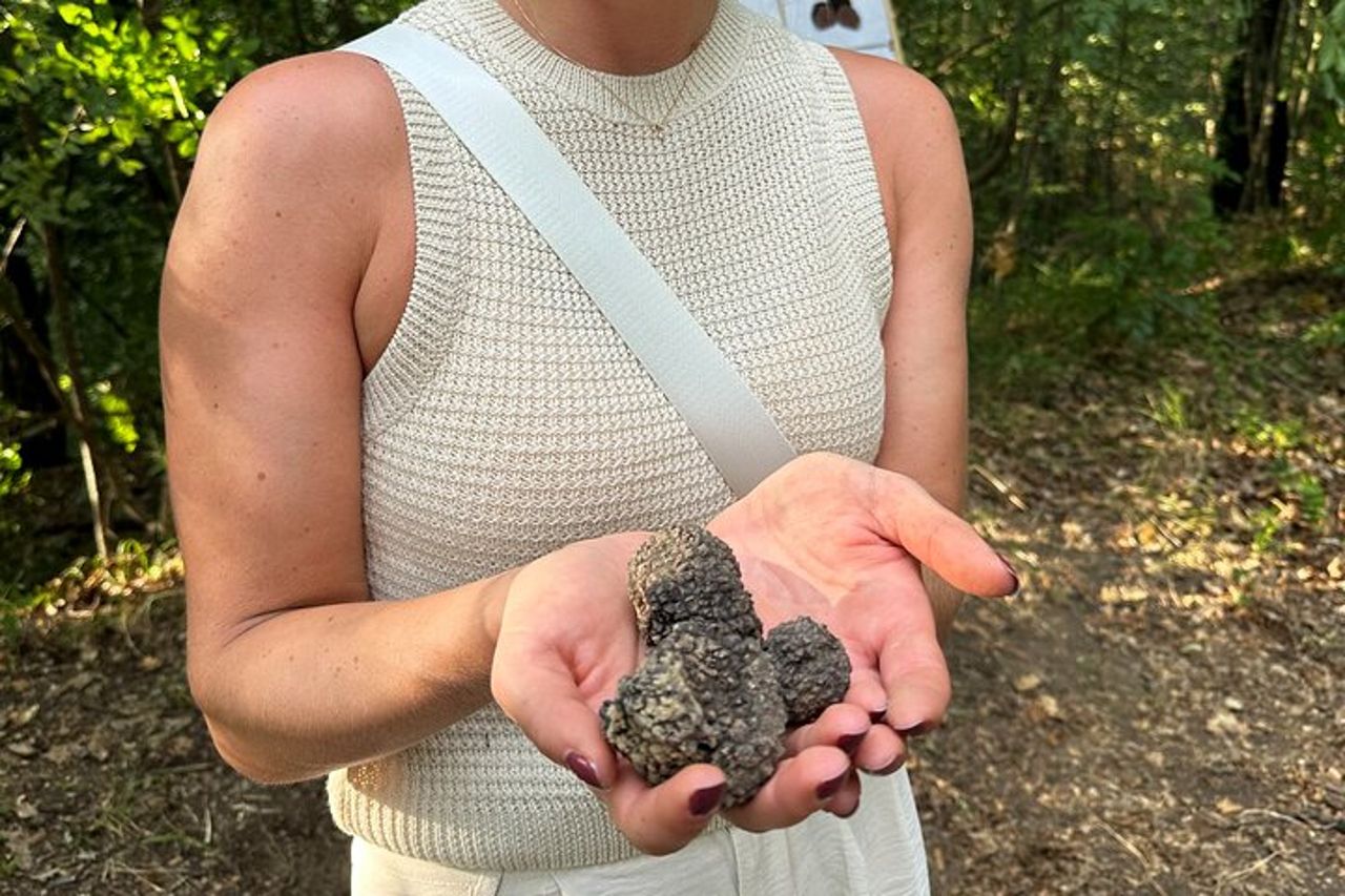 Caccia al Tartufo a San Gimignano — 7