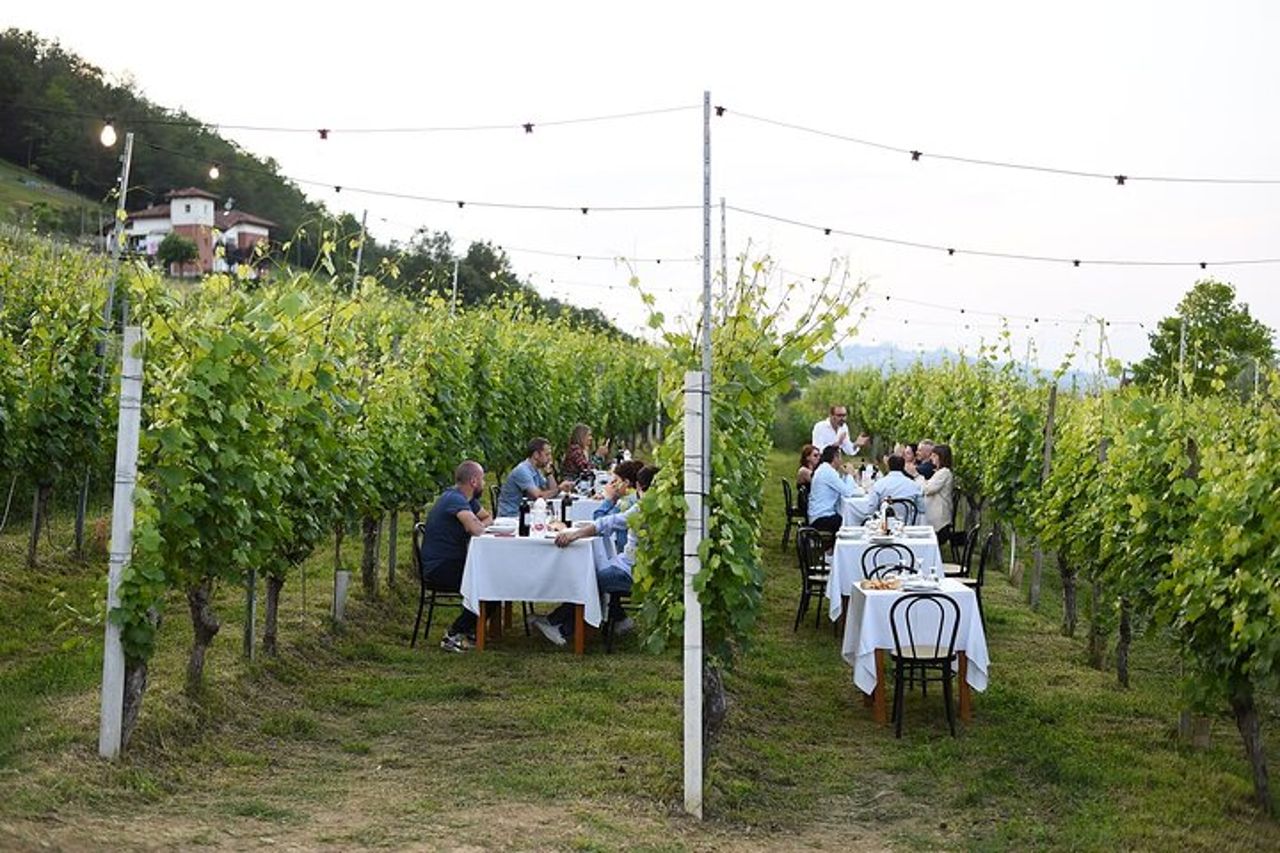 Passeggiata guidata e Pranzo in Vigna ad Alba