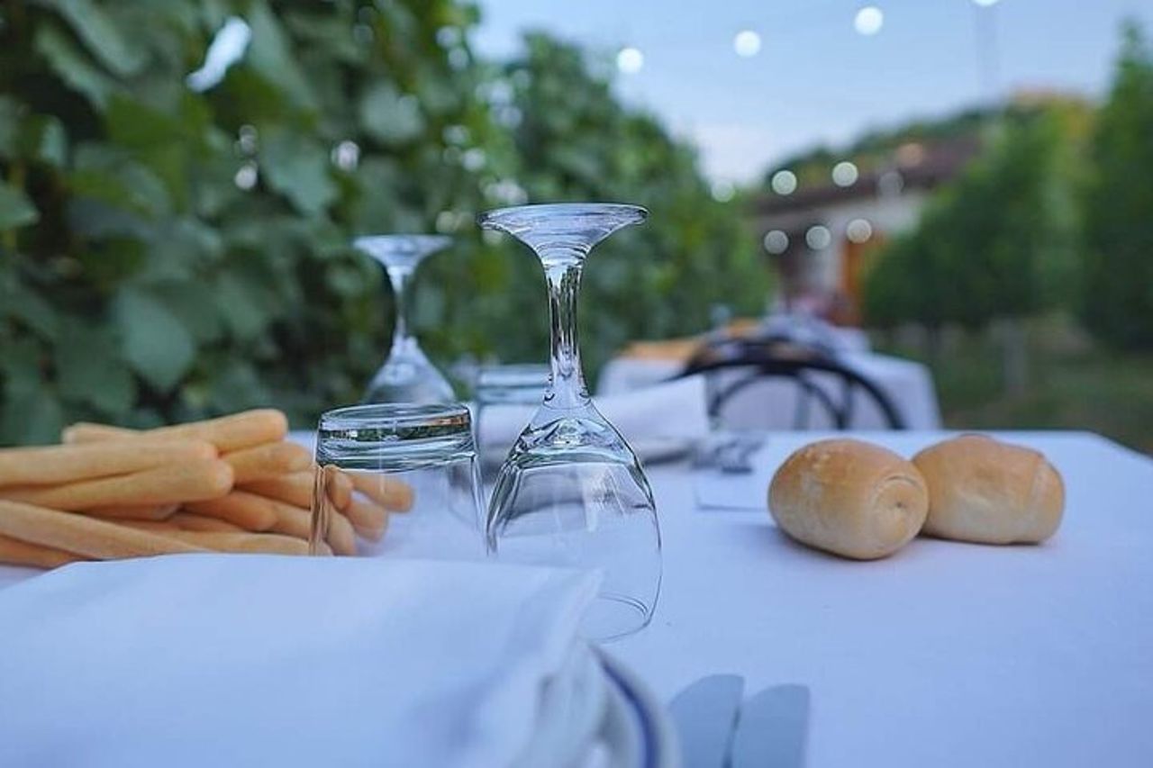 Passeggiata guidata e Pranzo in Vigna ad Alba — 2