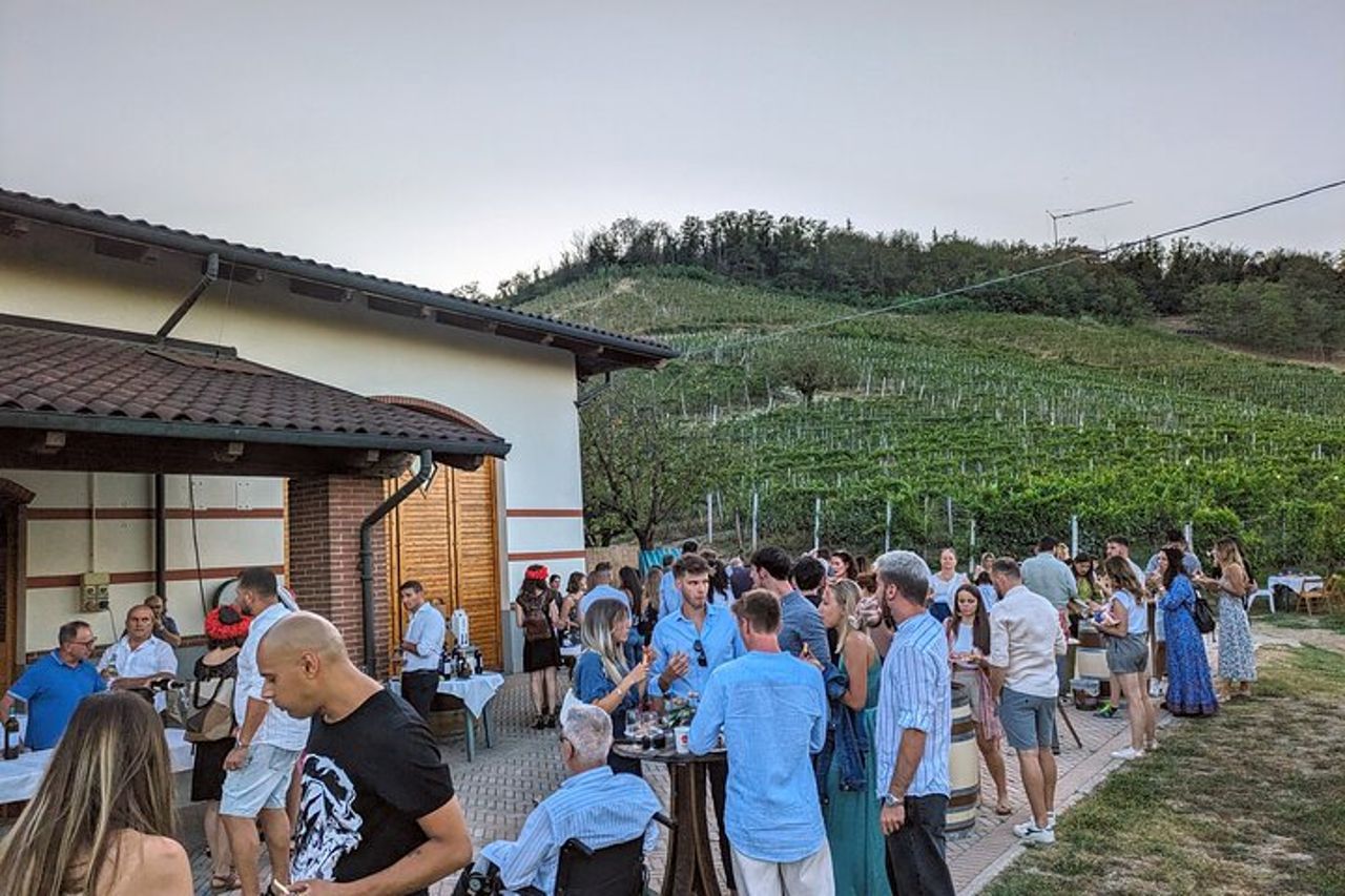Passeggiata guidata e Pranzo in Vigna ad Alba — 3