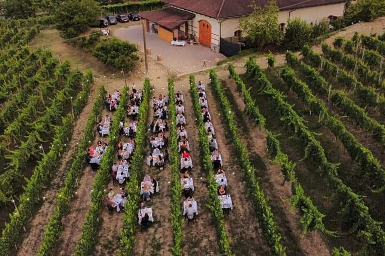 Passeggiata guidata e Pranzo in Vigna ad Alba — 5