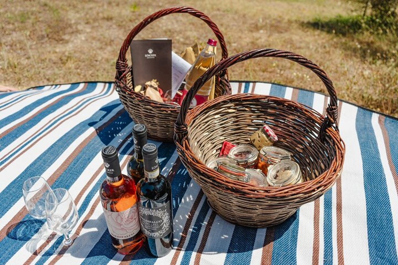 Visita guidata e picnic in vigna con una bottiglia di vino — 7