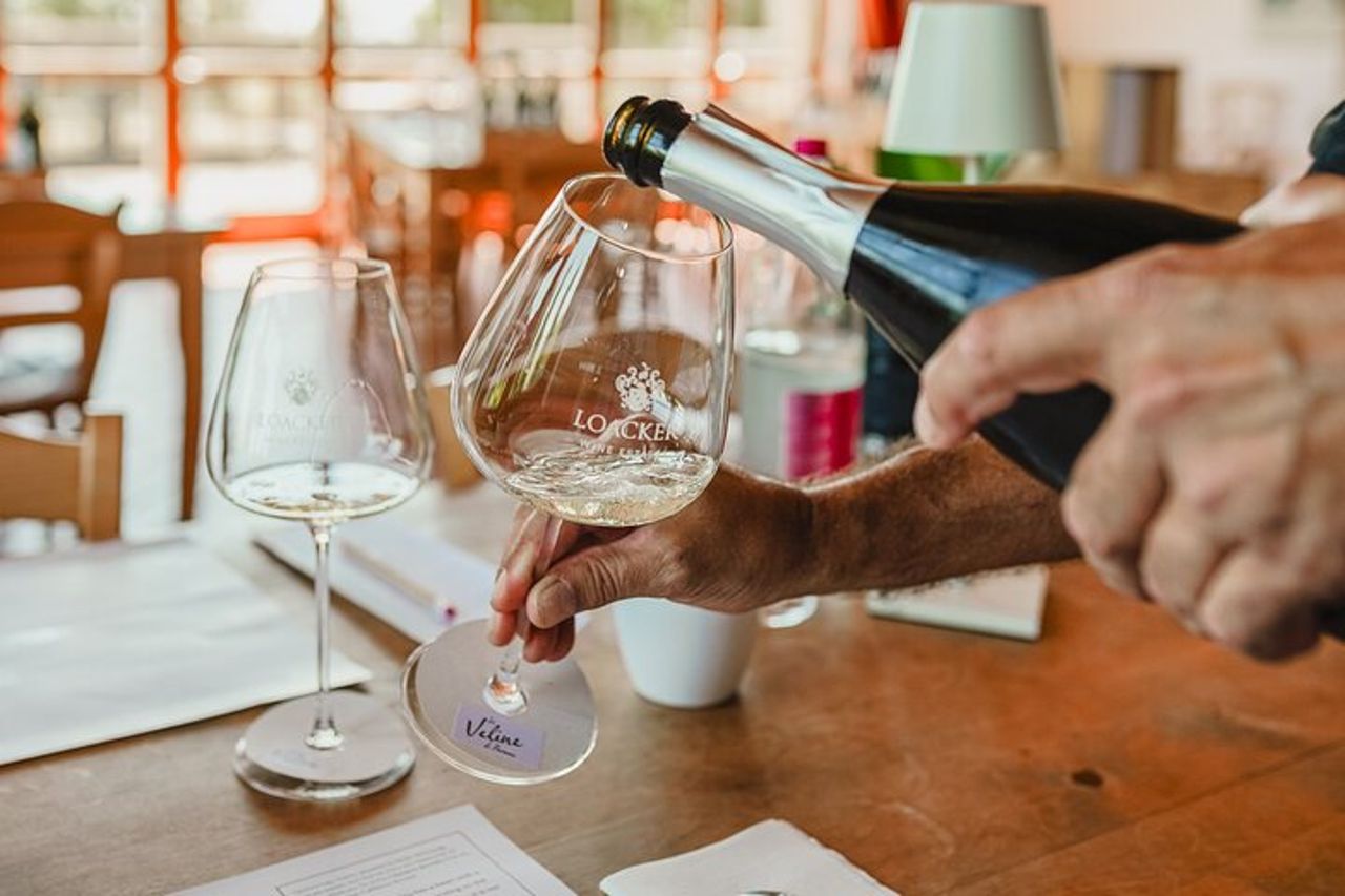 Degustazione vini classica a Montalcino — 5