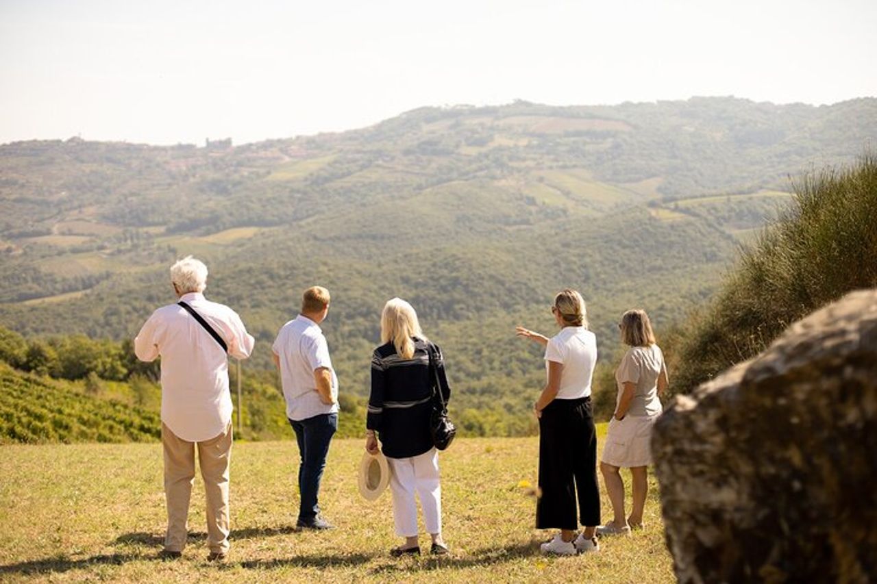 Visita guidata con degustazione di vini a Montalcino — 2