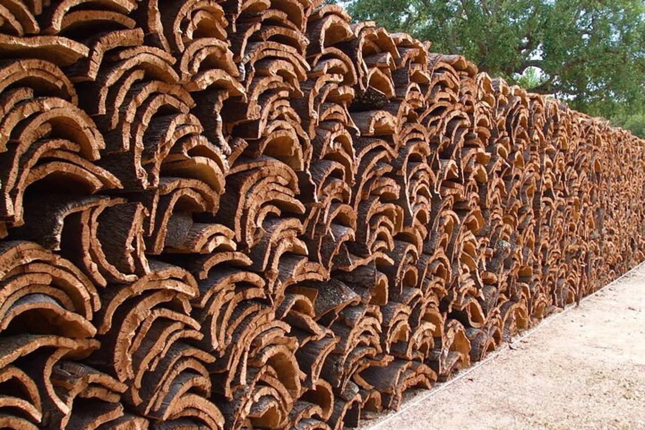 Tour privato di Évora - Visita alla fabbrica di sughero inclusa — 2