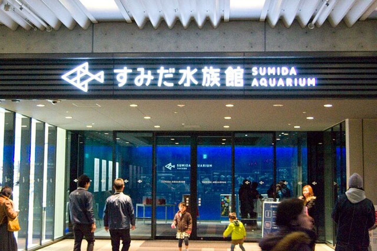 Tokyo Sumida Aquarium E-Ticket con Tokyo Metro Pass opzionale — 7
