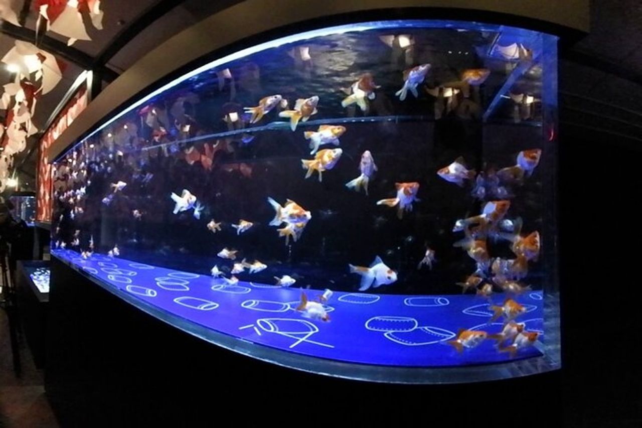 Tokyo Sumida Aquarium E-Ticket con Tokyo Metro Pass opzionale — 9