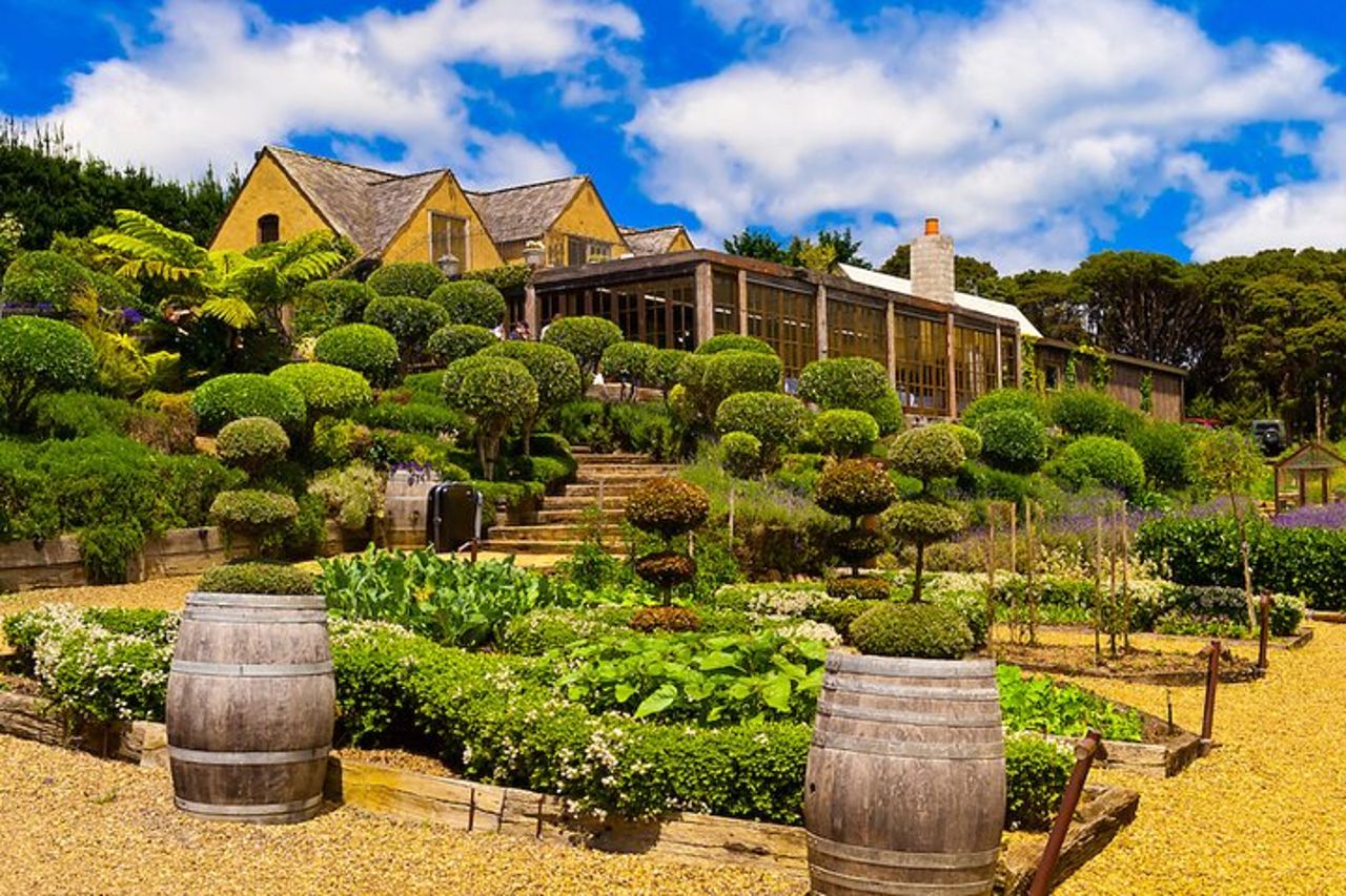 Waiheke island Wine Tours - degustazione di vini PREMIUM MAX 11 clienti !