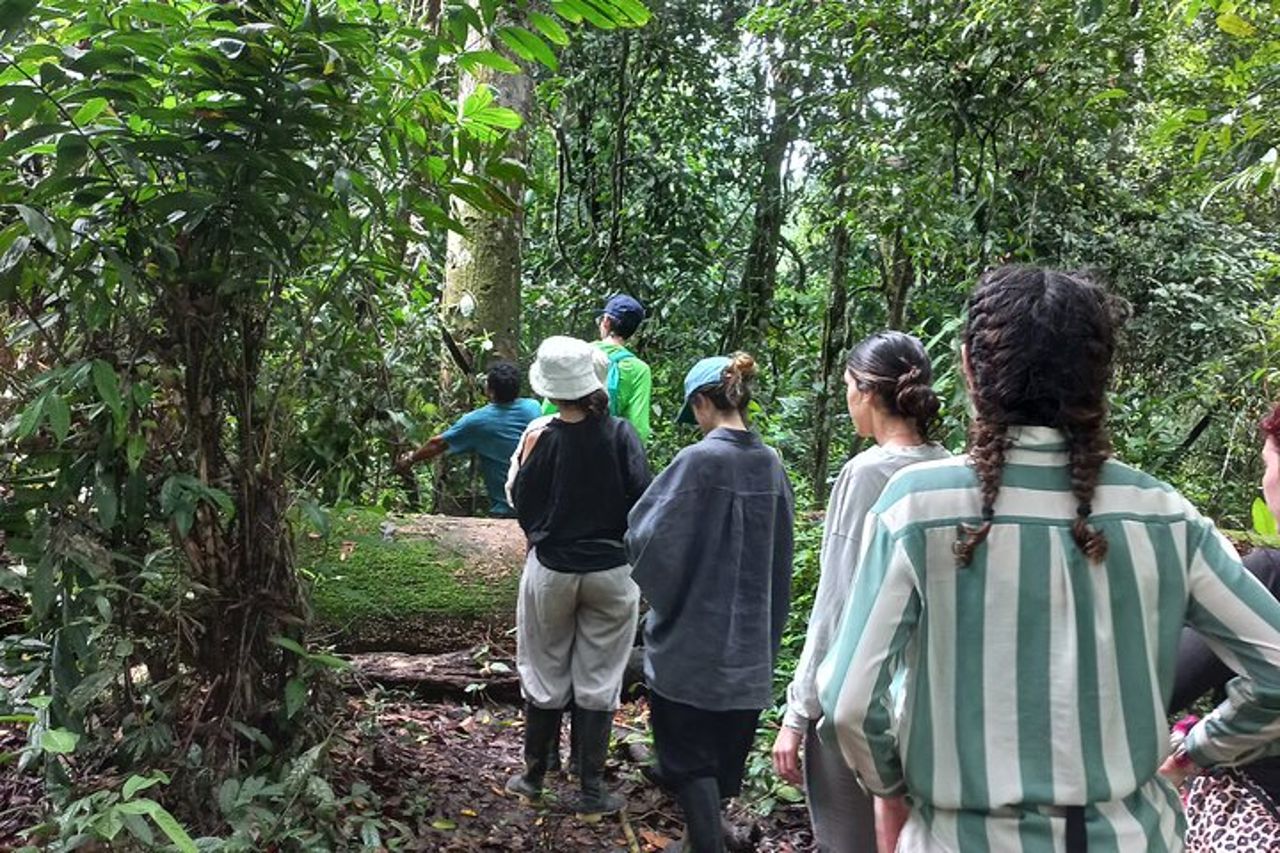 Iquitos: Il segreto di Black River | Giornata intera — 3