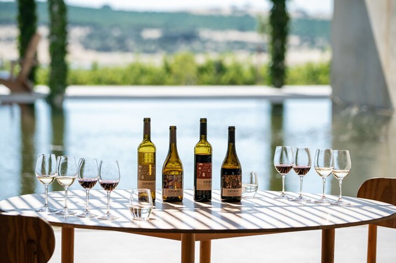 Tour del vino di 1 giorno nei dintorni di Évora