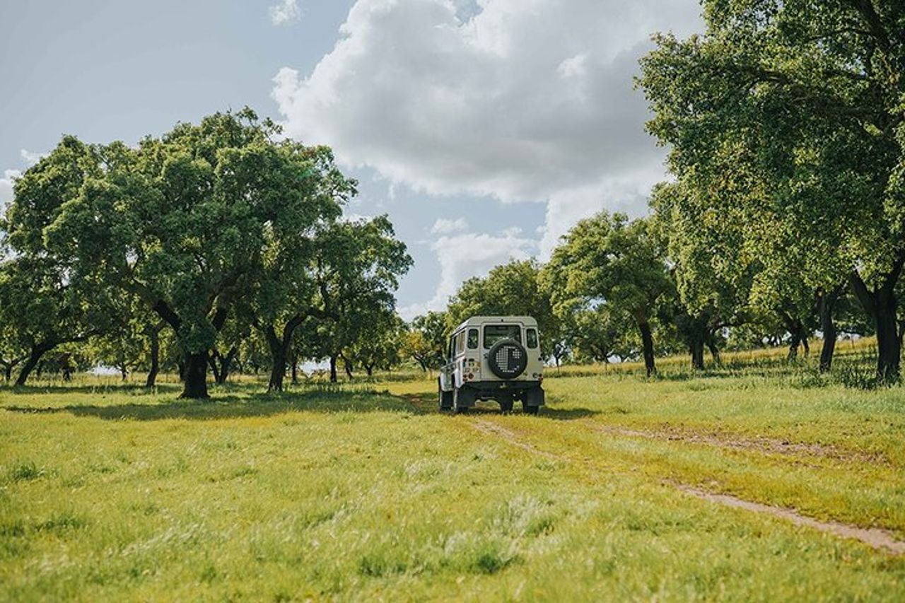 Tour del vino di 1 giorno nei dintorni di Évora — 4