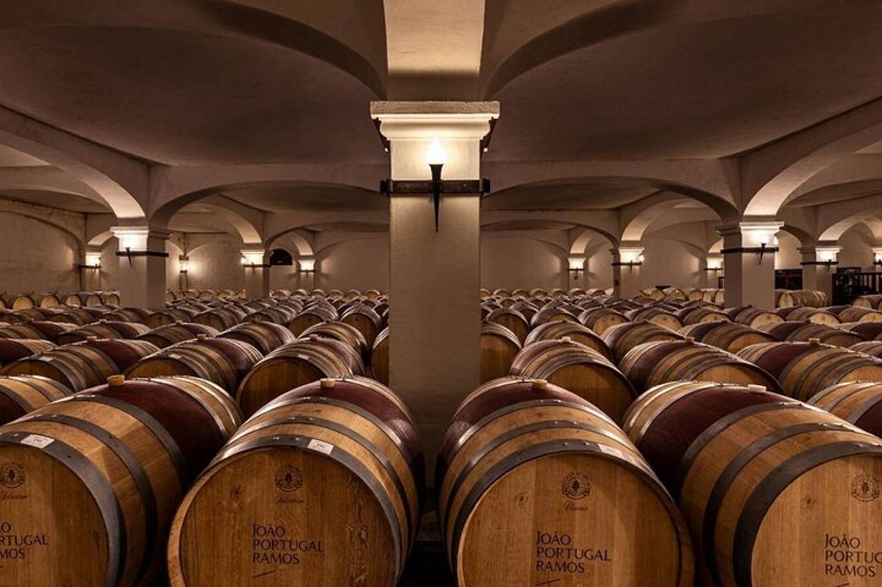 Tour del vino di 1 giorno nei dintorni di Évora — 7