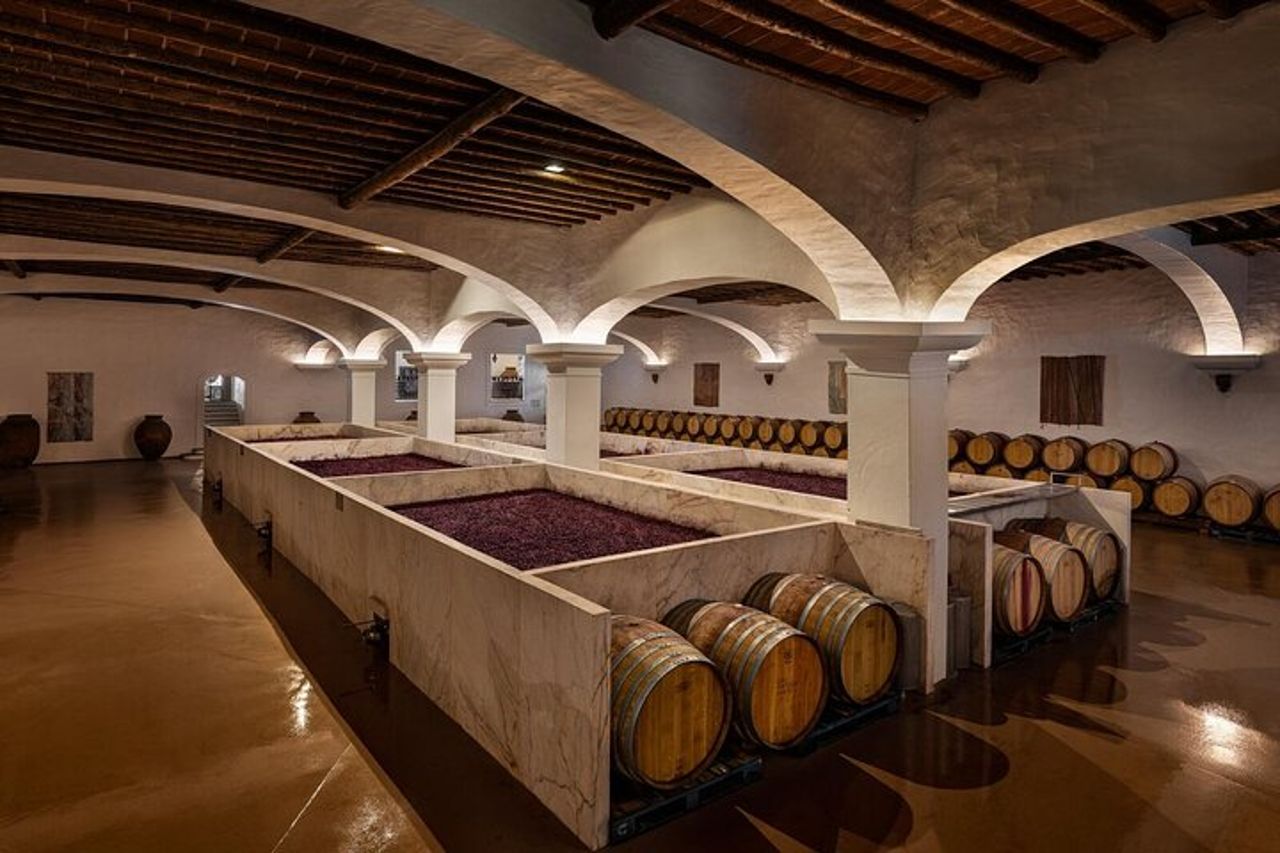 Tour del vino di 1 giorno nei dintorni di Évora — 8